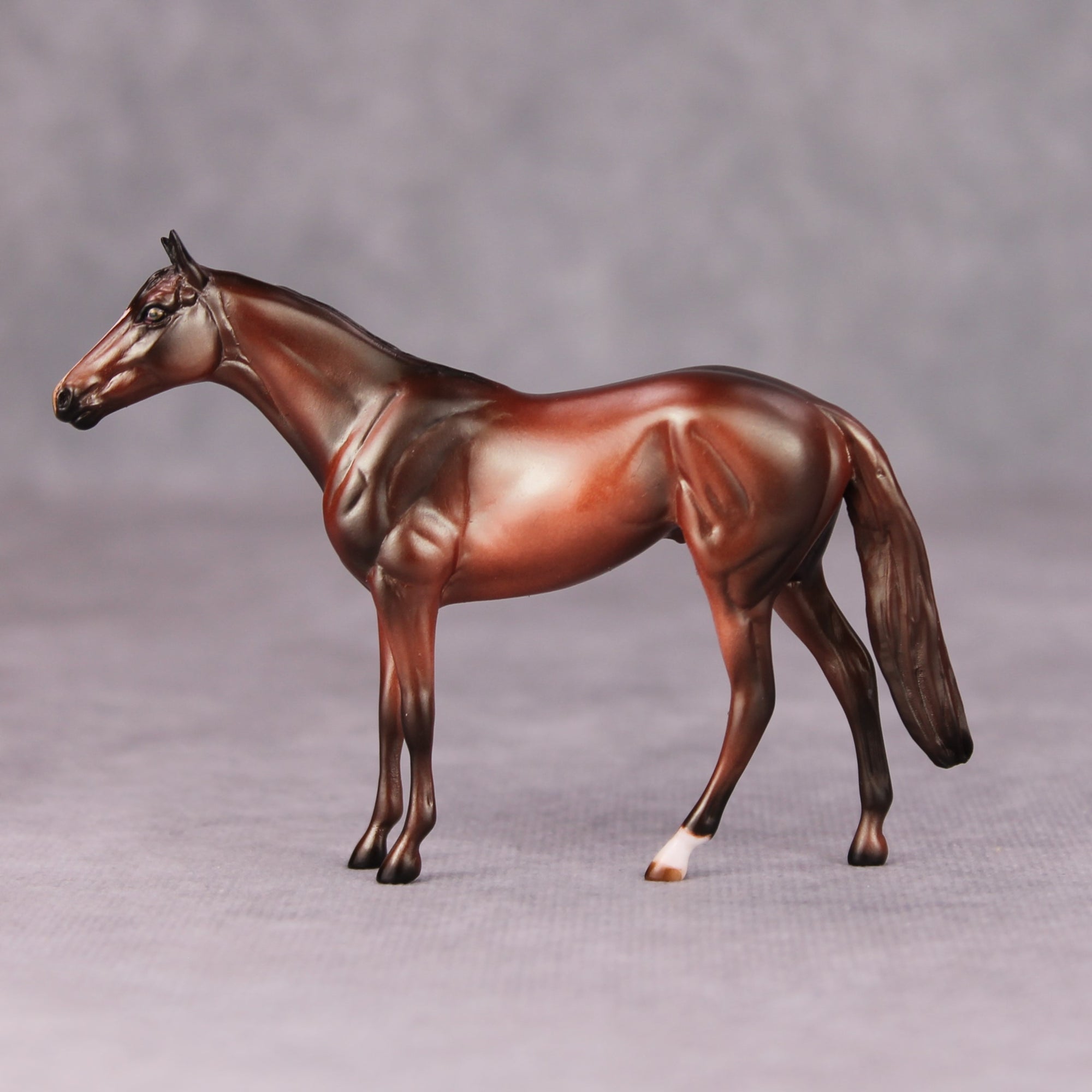 Firebrand OOAK Bay Thoroughbred Chip By Julie Keim MM24