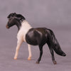 &quot;Wilbur&quot; OOAK Pony Chip By Jess Hamill - Menagerie Series
