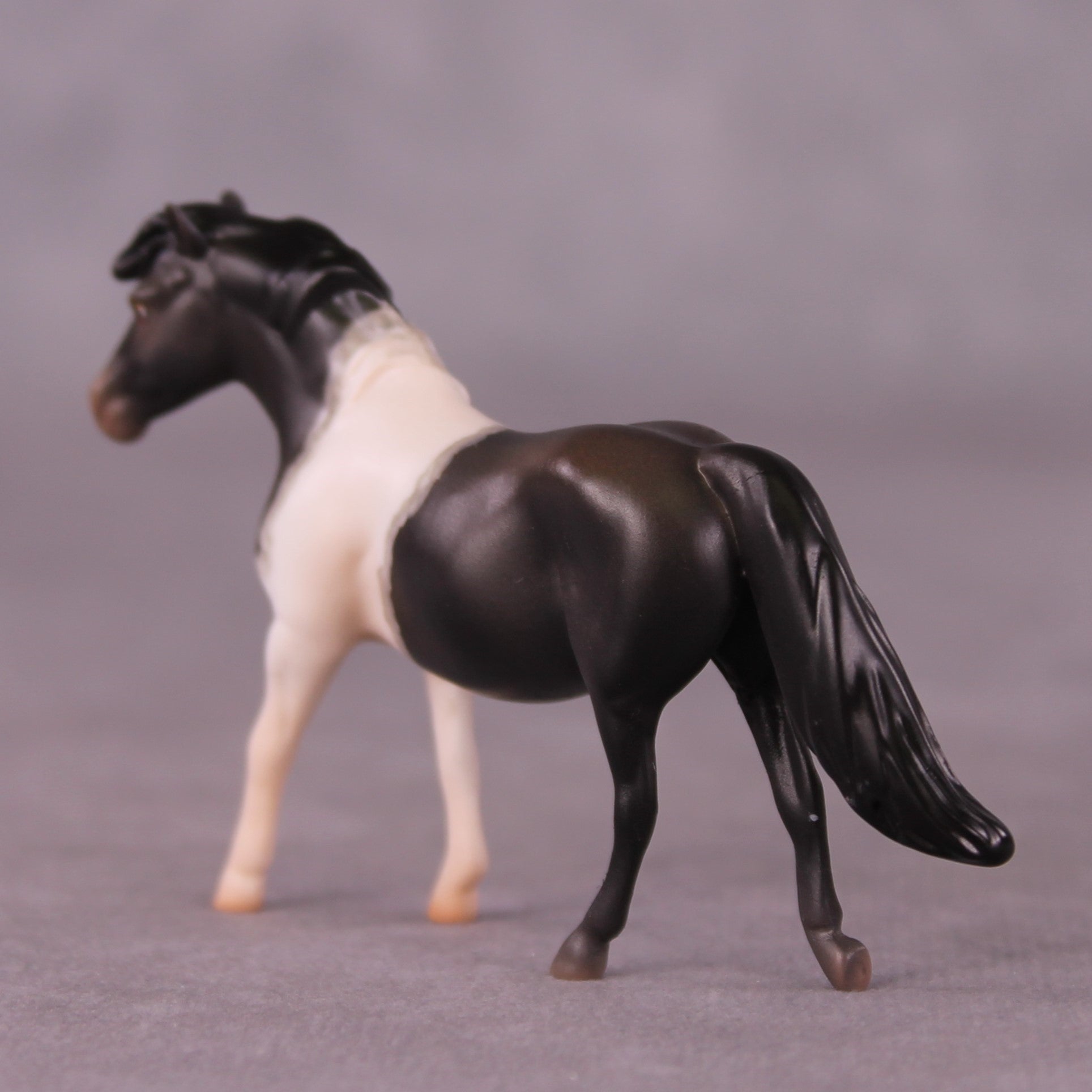 "Wilbur" OOAK Pony Chip By Jess Hamill - Menagerie Series