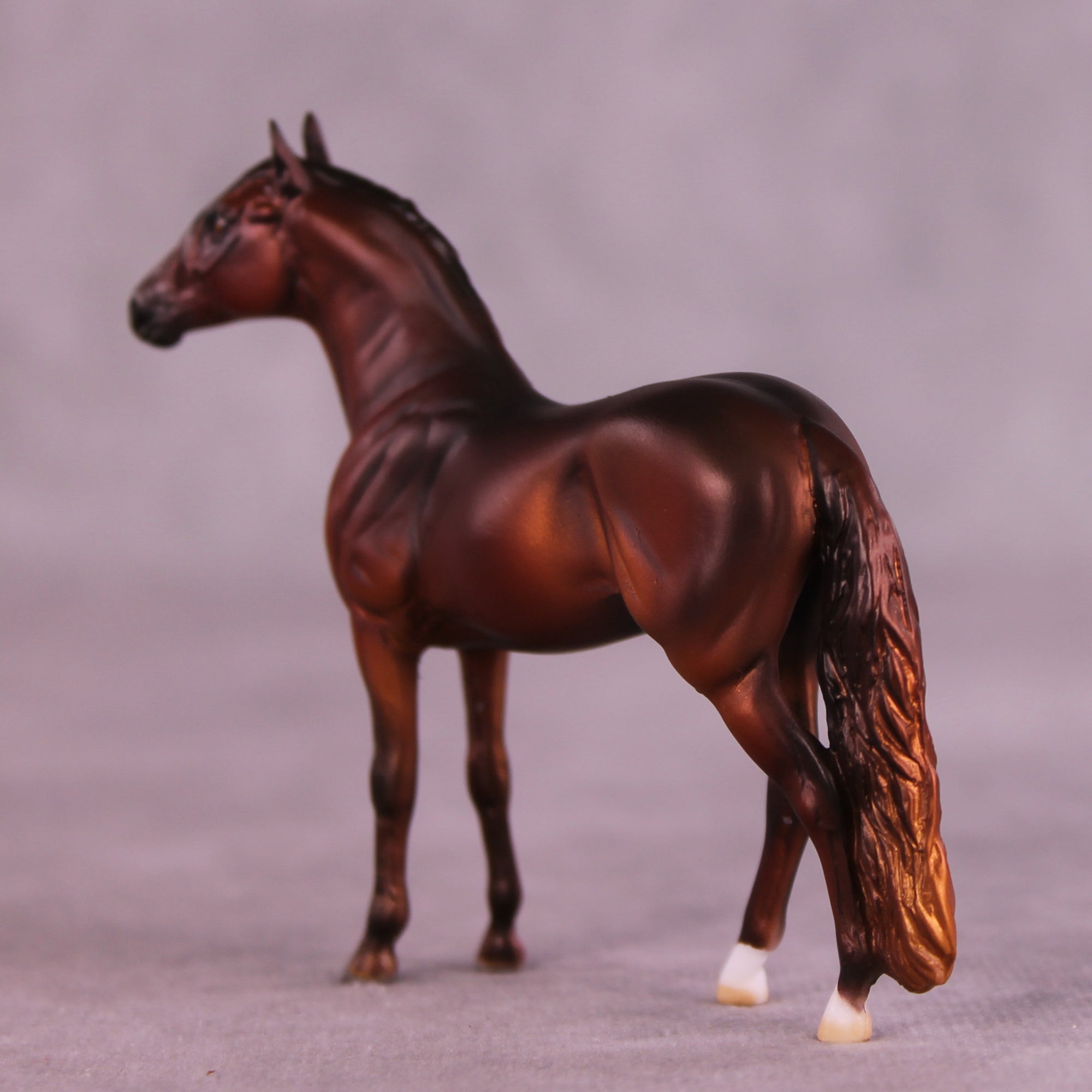 Shel OOAK Andalusian Chip by Julie Keim LHS25