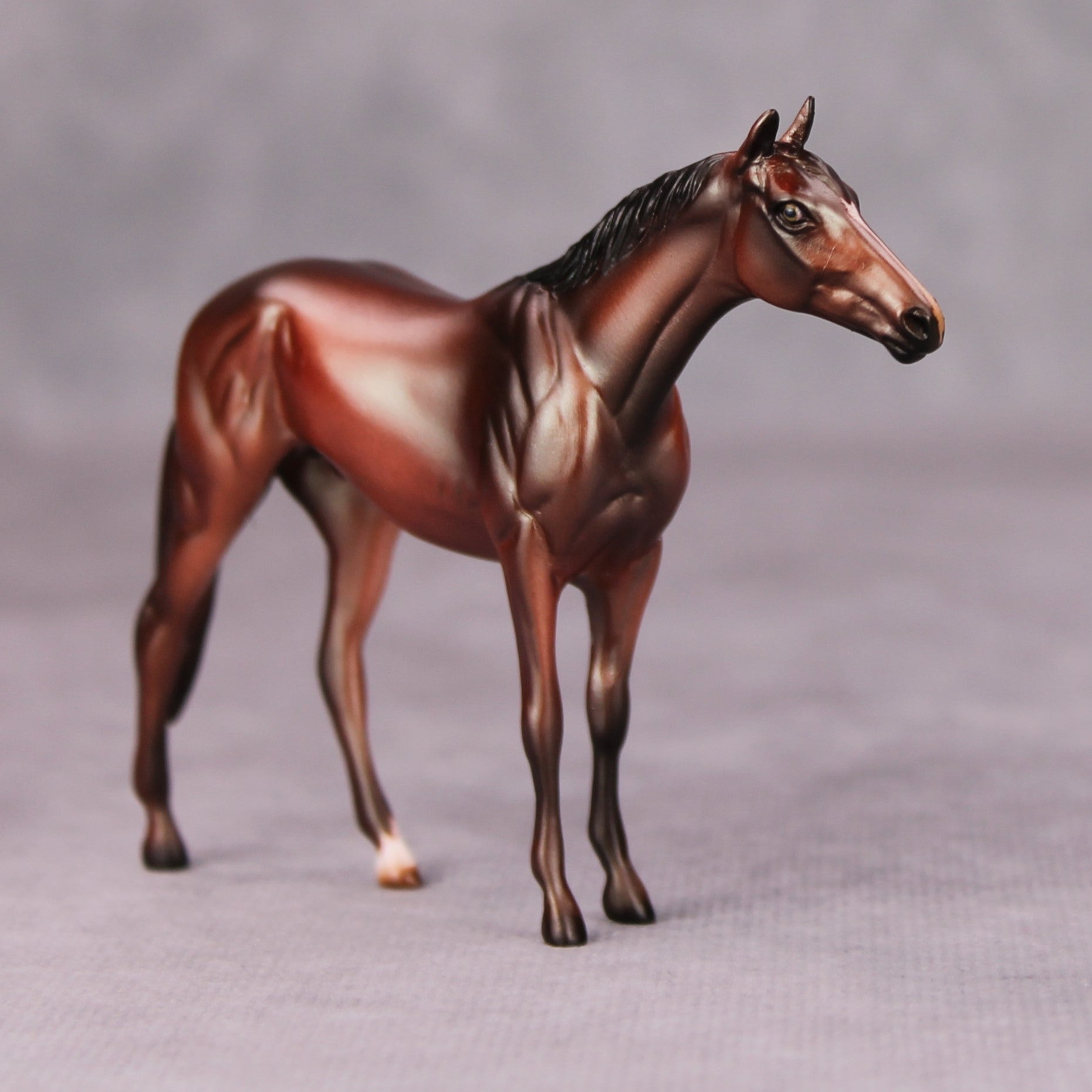 Firebrand OOAK Bay Thoroughbred Chip By Julie Keim MM24
