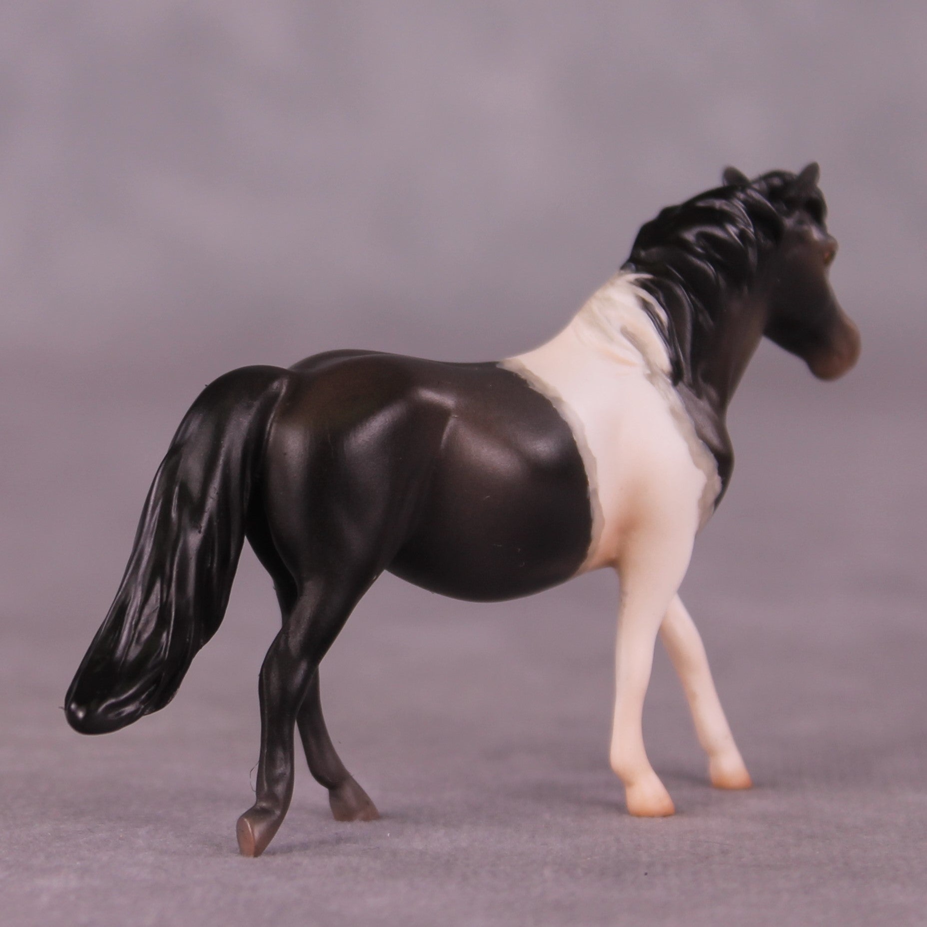 "Wilbur" OOAK Pony Chip By Jess Hamill - Menagerie Series