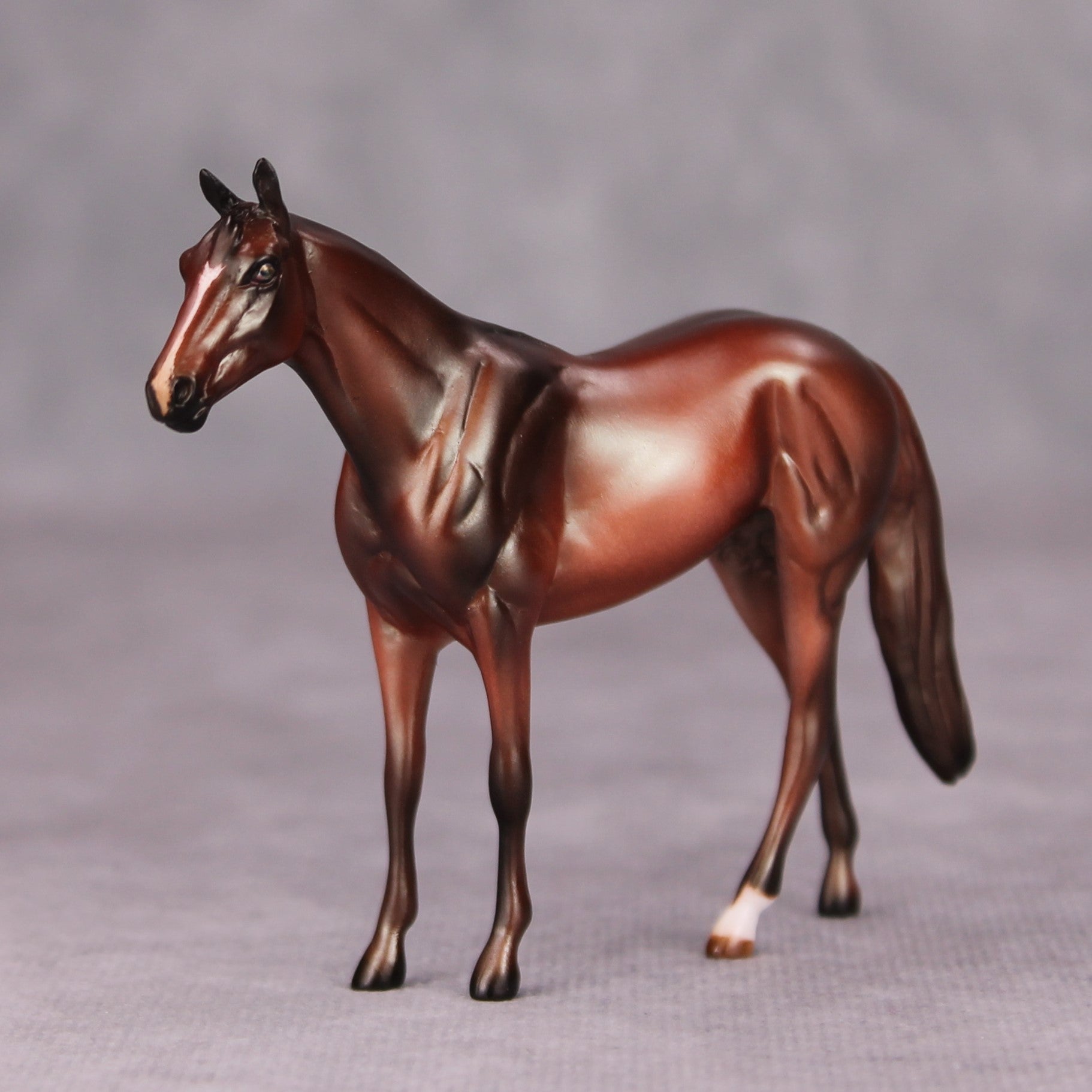 Firebrand OOAK Bay Thoroughbred Chip By Julie Keim MM24