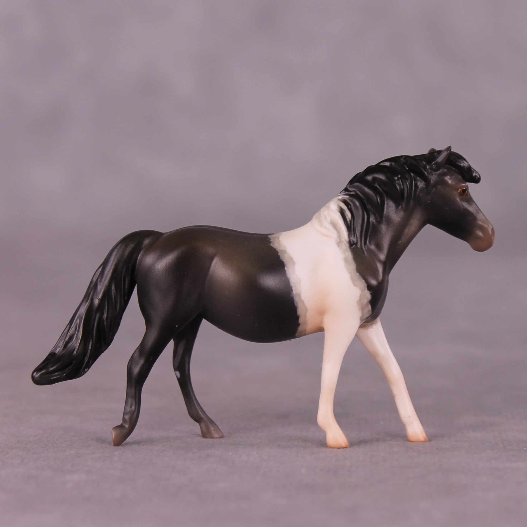 "Wilbur" OOAK Pony Chip By Jess Hamill - Menagerie Series