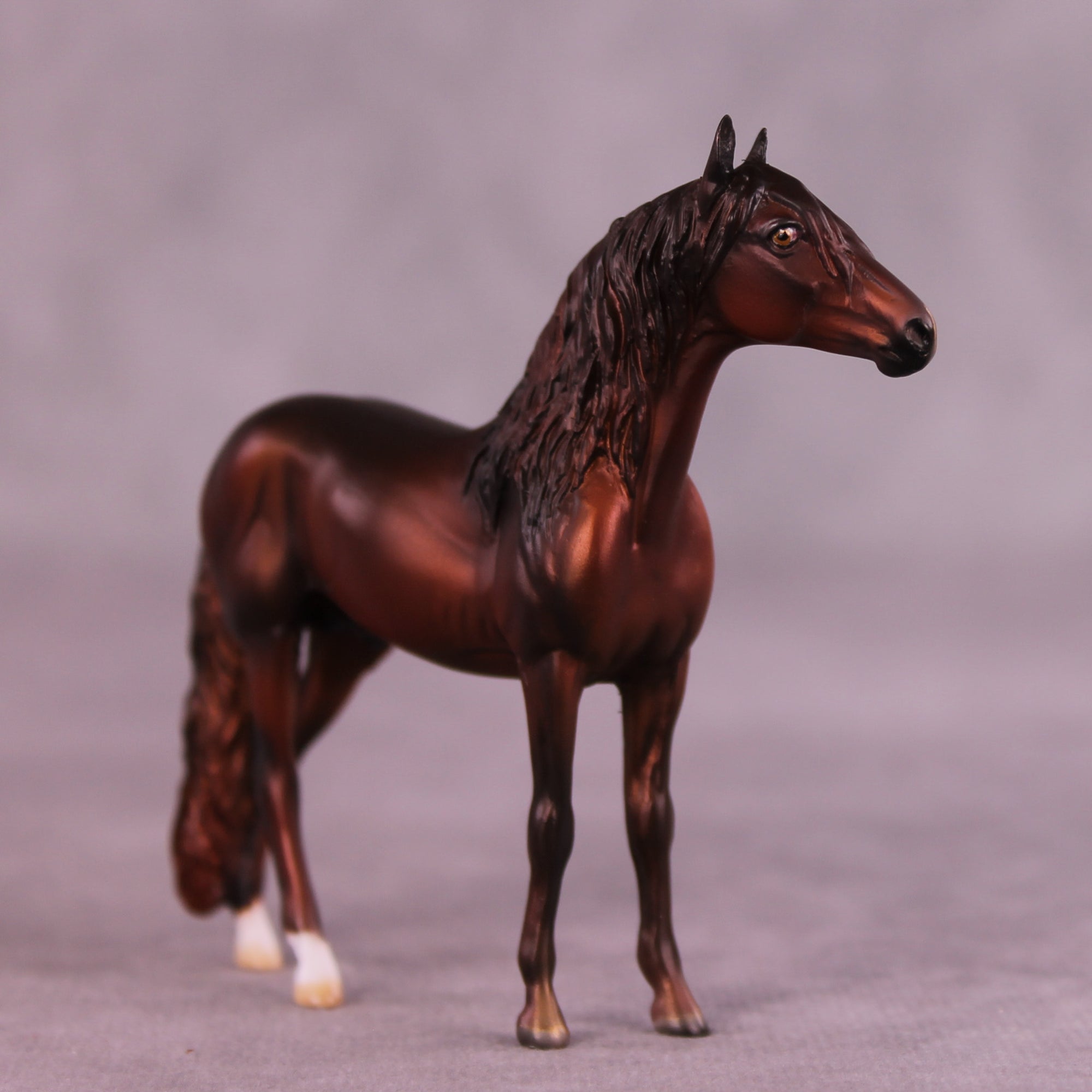 Shel OOAK Andalusian Chip by Julie Keim LHS25