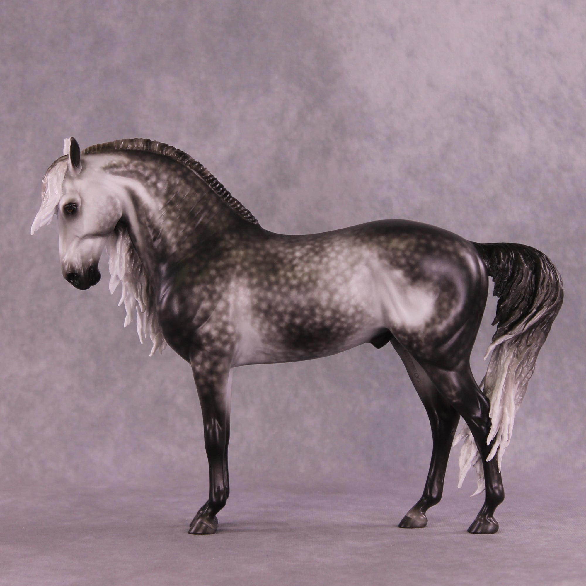 Arthur OOAK FCM Andalusian by Sheryl Leisure Best Offer 9/23/2025