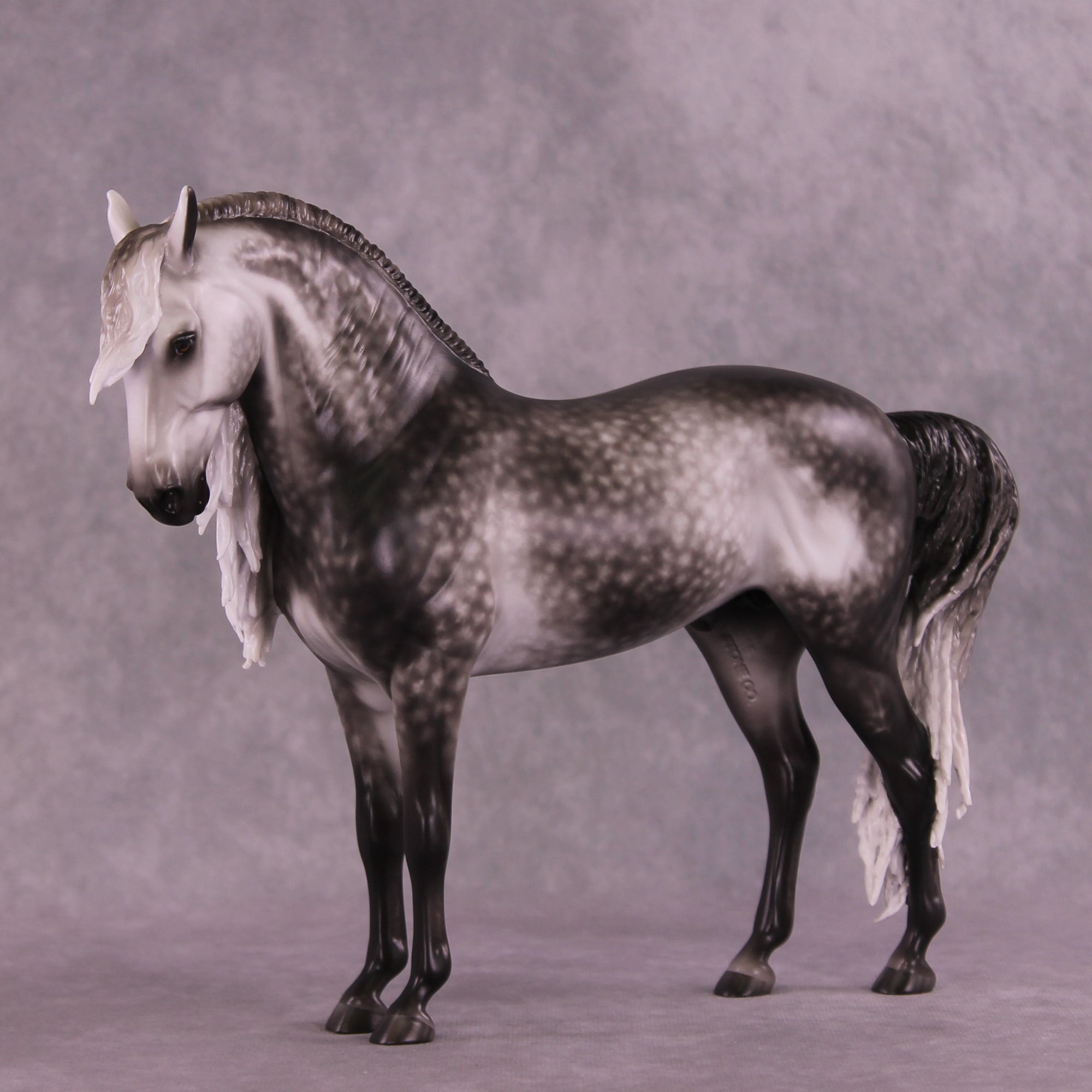 Arthur OOAK FCM Andalusian by Sheryl Leisure Best Offer 9/23/2025