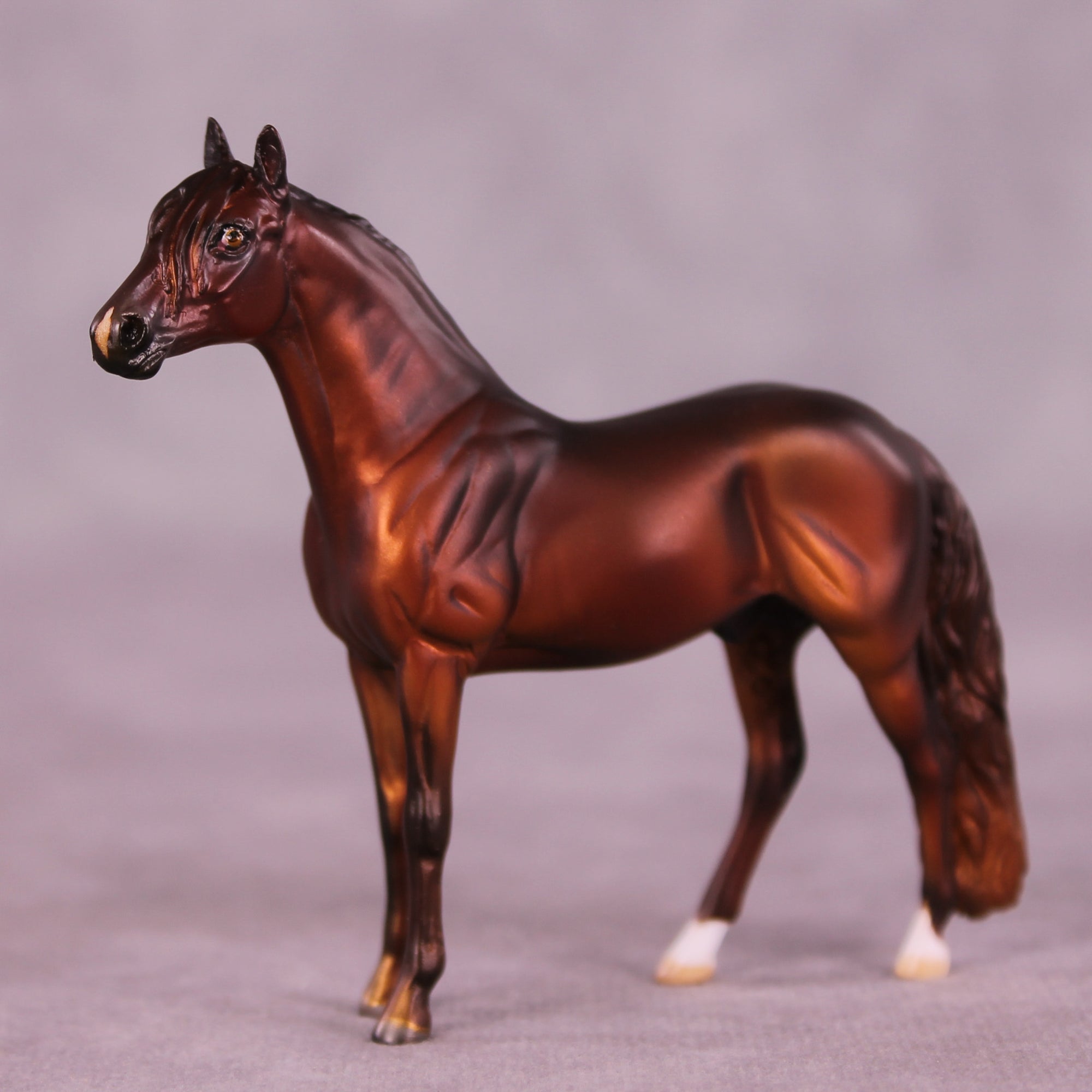 Shel OOAK Andalusian Chip by Julie Keim LHS25