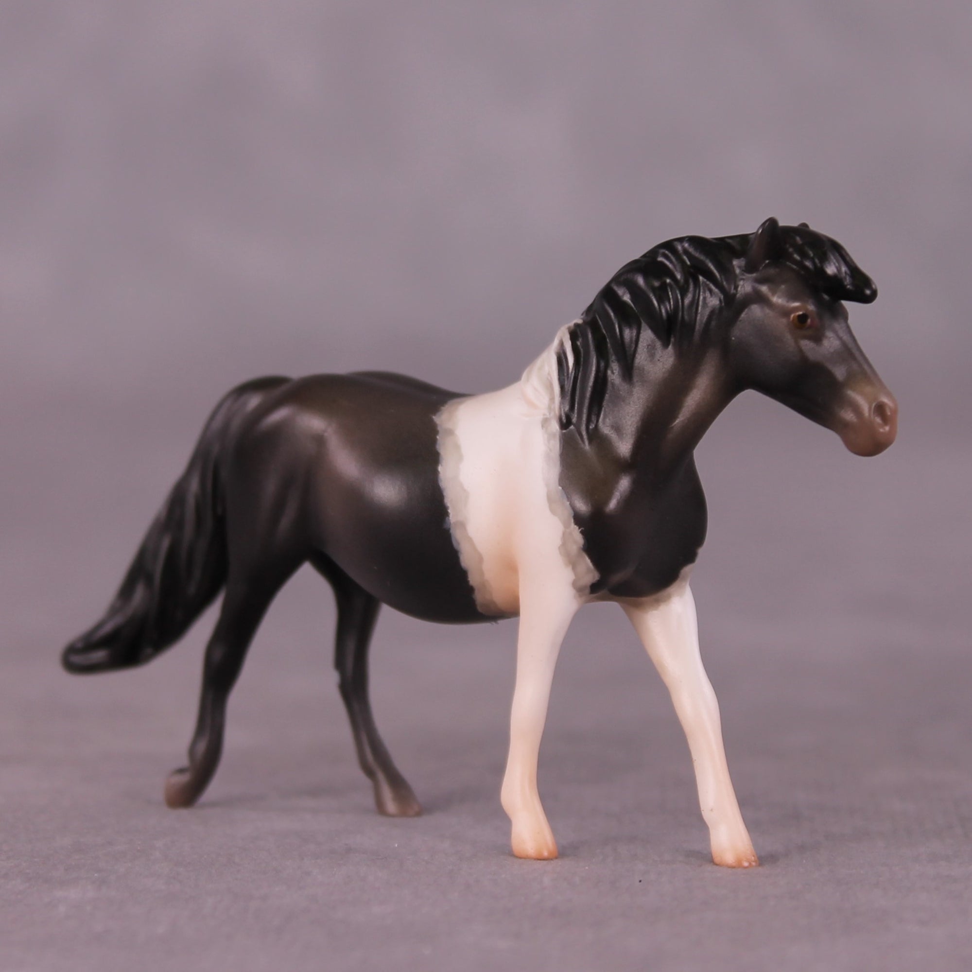 "Wilbur" OOAK Pony Chip By Jess Hamill - Menagerie Series