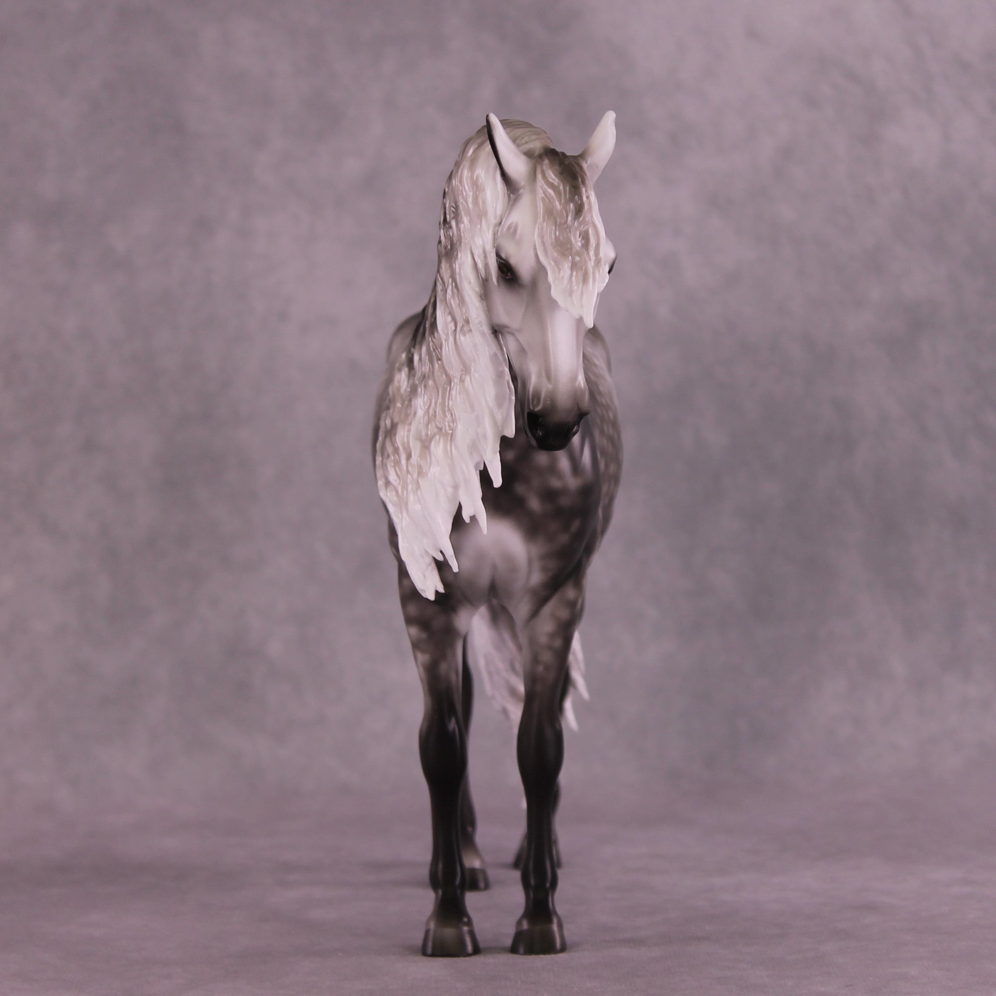 Arthur OOAK FCM Andalusian by Sheryl Leisure Best Offer 9/23/2025