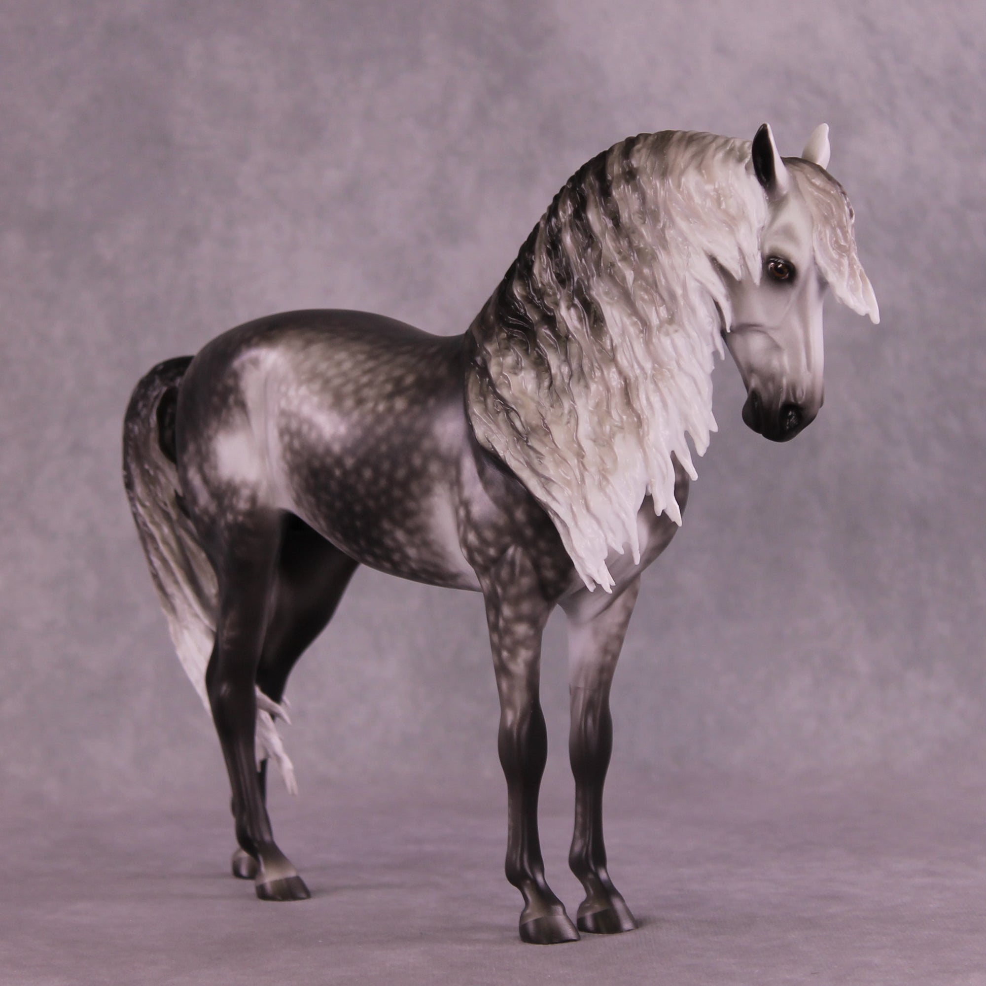 Arthur OOAK FCM Andalusian by Sheryl Leisure Best Offer 9/23/2025