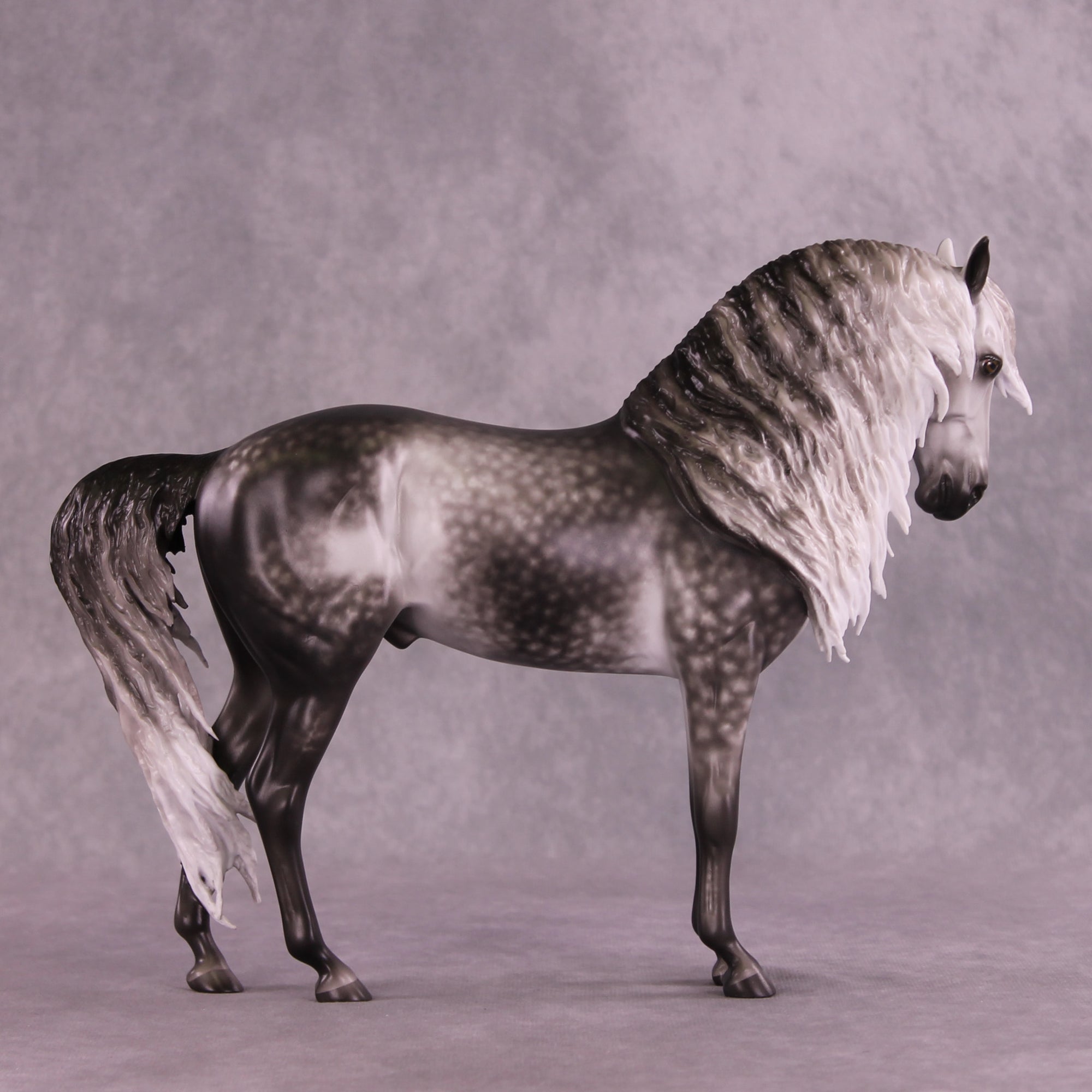 Arthur OOAK FCM Andalusian by Sheryl Leisure Best Offer 9/23/2025