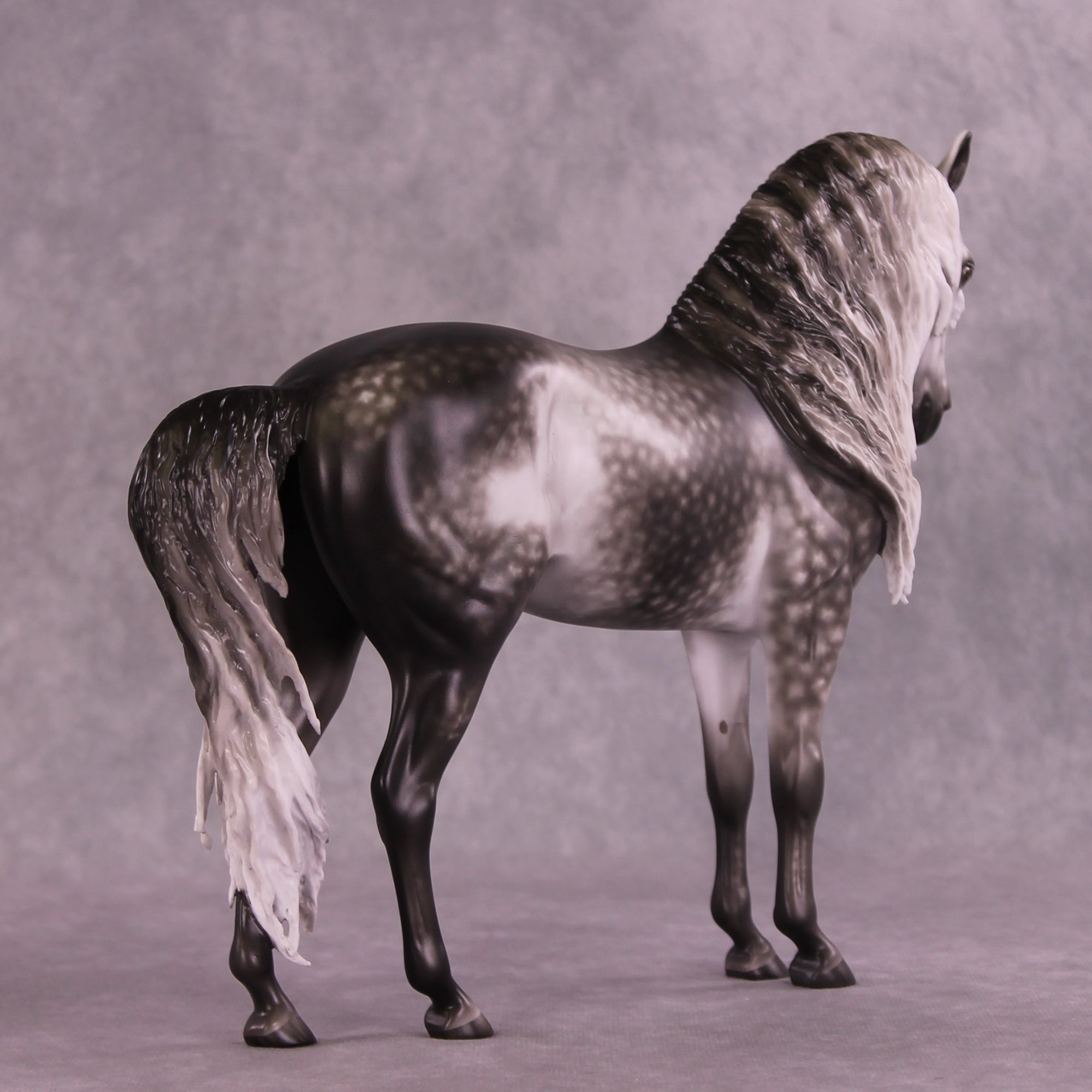 Arthur OOAK FCM Andalusian by Sheryl Leisure Best Offer 9/23/2025