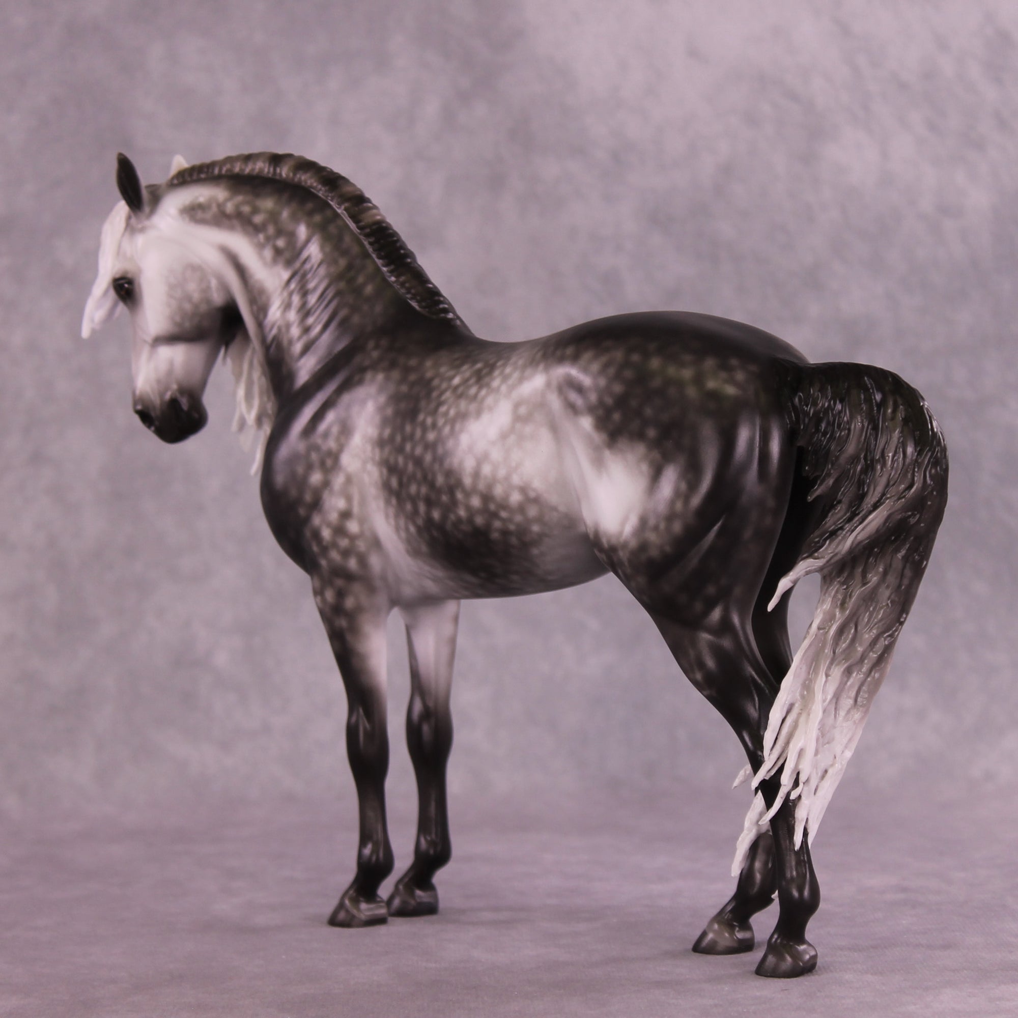Arthur OOAK FCM Andalusian by Sheryl Leisure Best Offer 9/23/2025