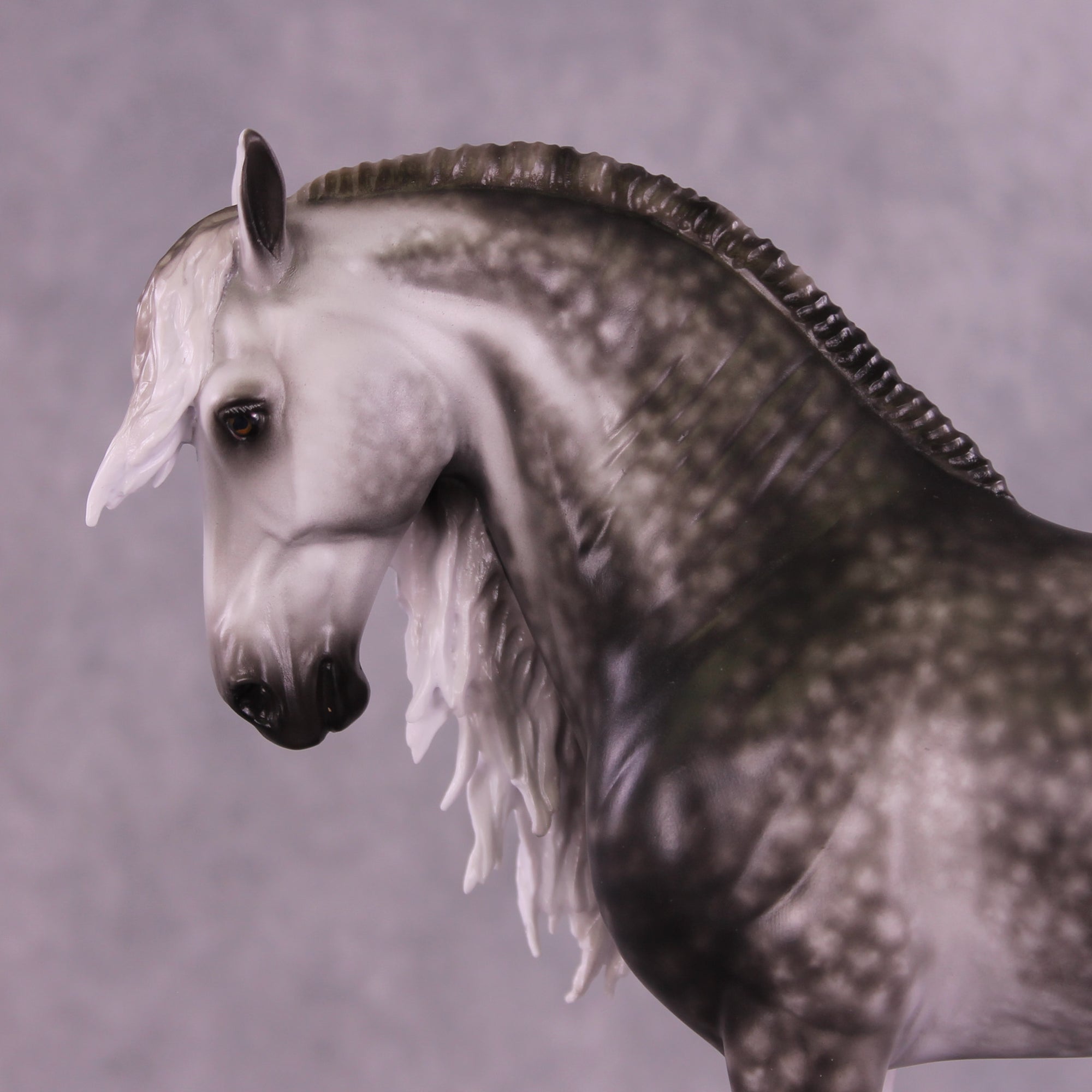 Arthur OOAK FCM Andalusian by Sheryl Leisure Best Offer 9/23/2025