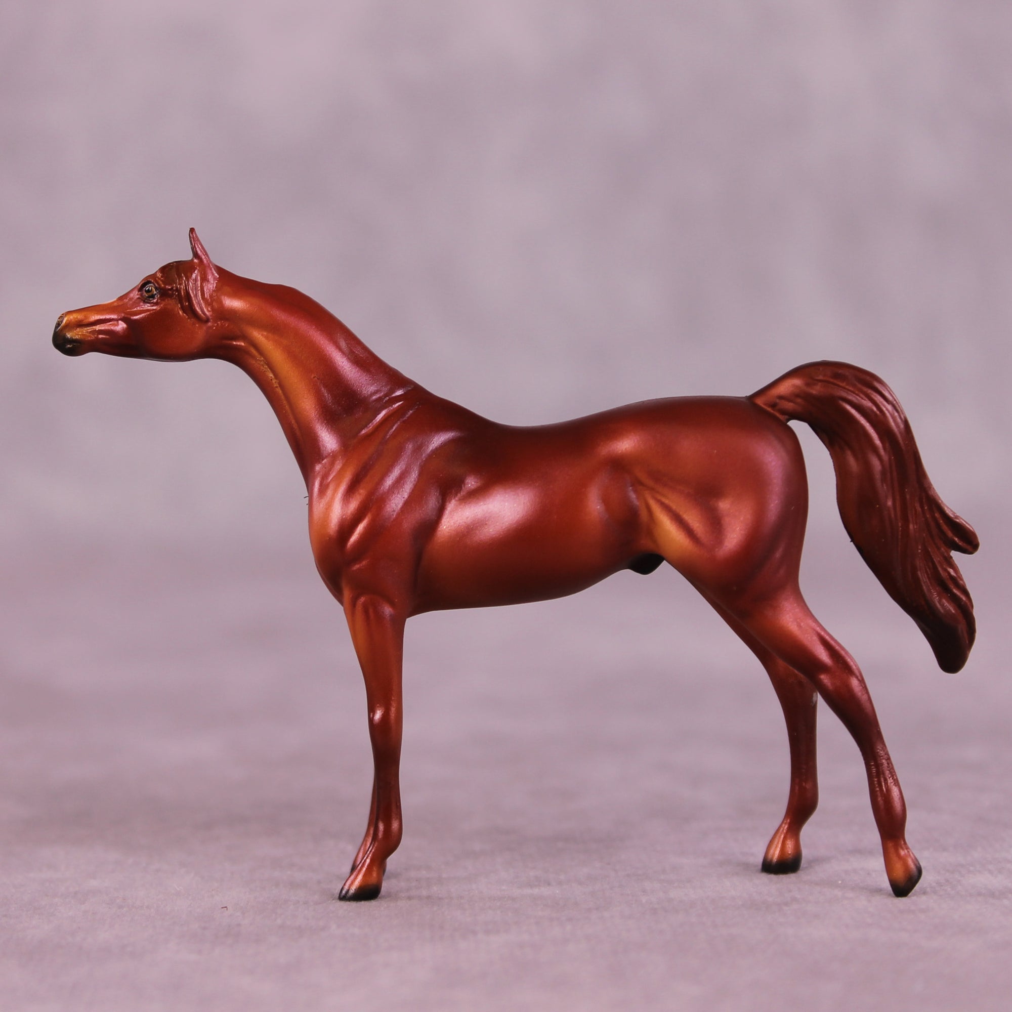 August OOAK Arabian Chip by Dawn Quick LHS25