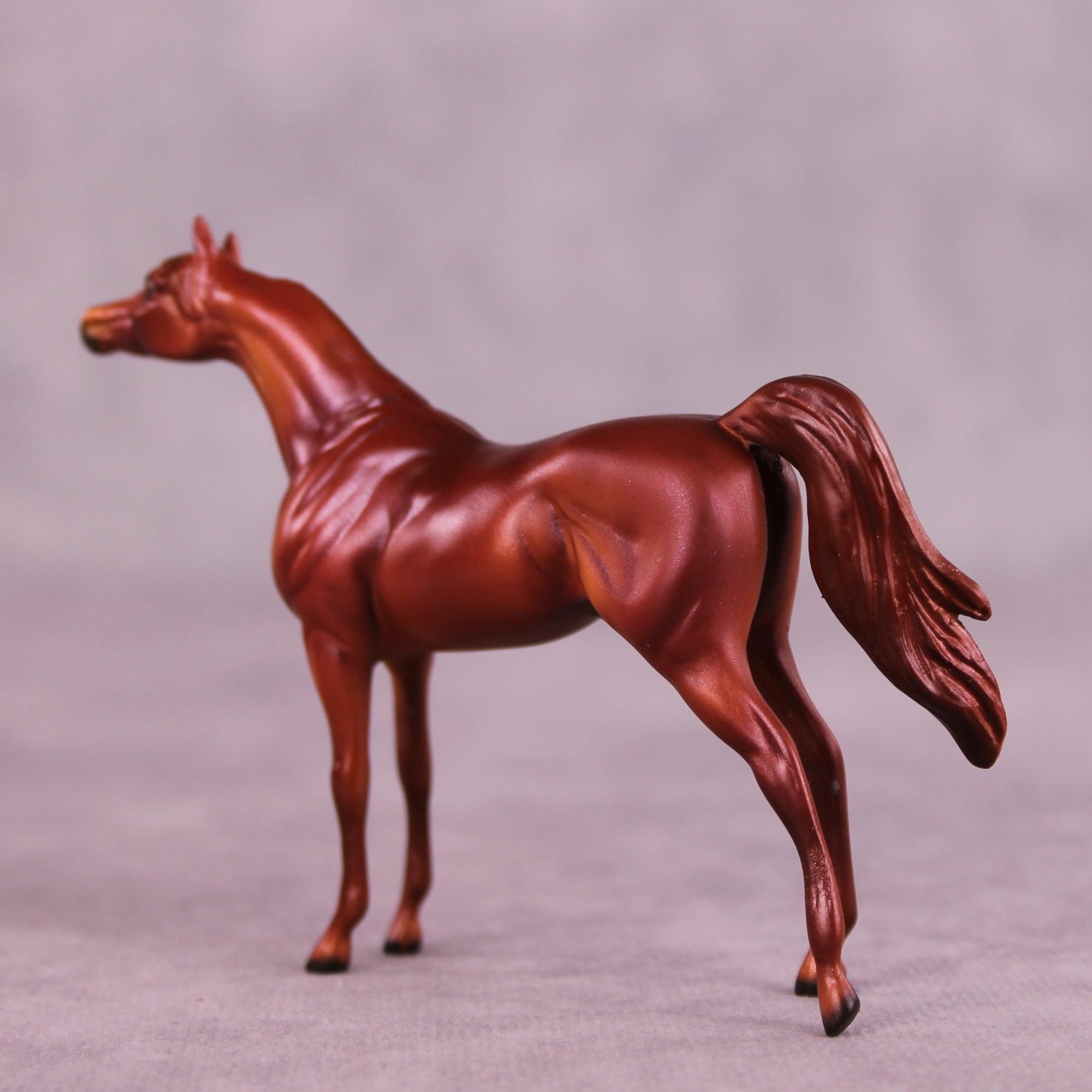 August OOAK Arabian Chip by Dawn Quick LHS25