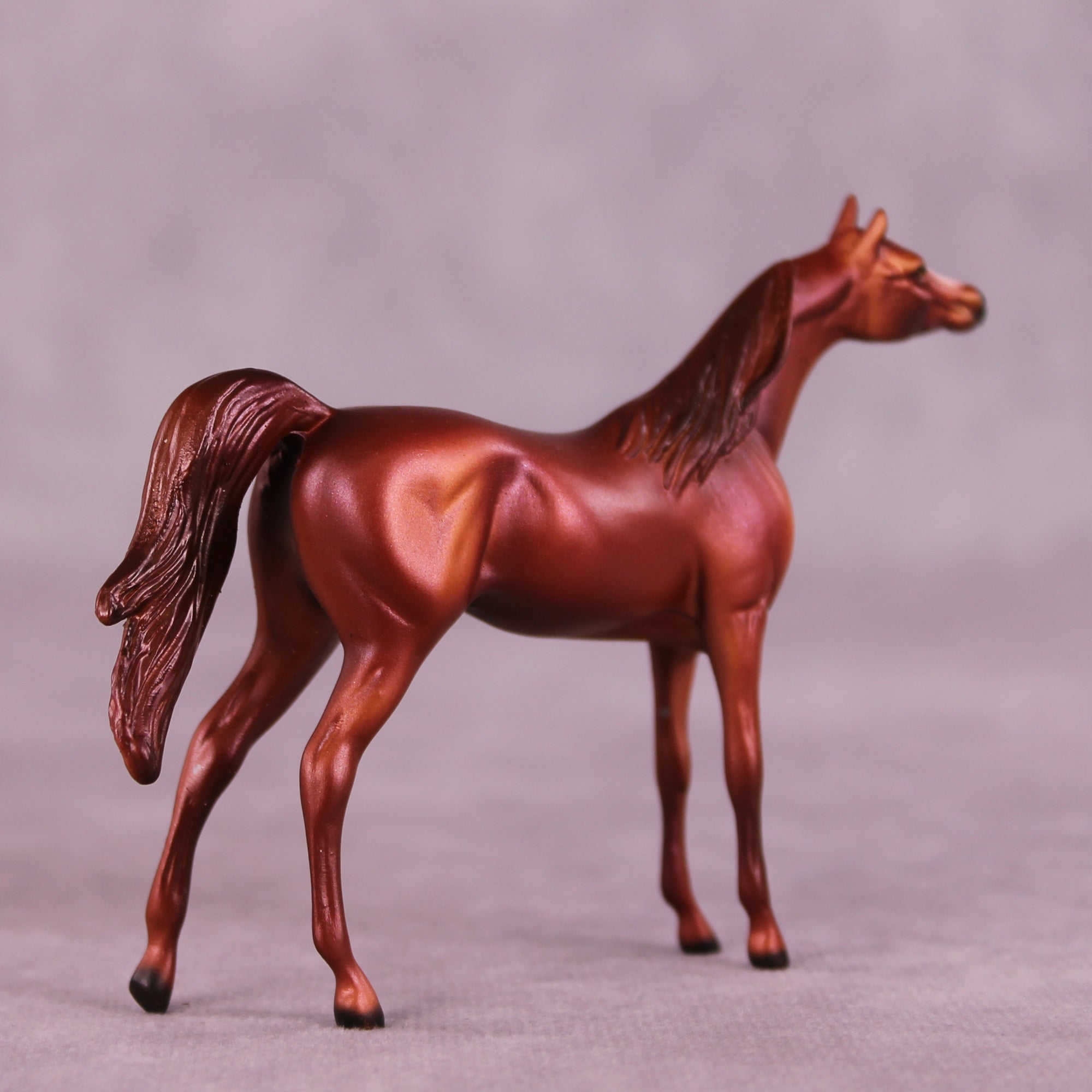 August OOAK Arabian Chip by Dawn Quick LHS25