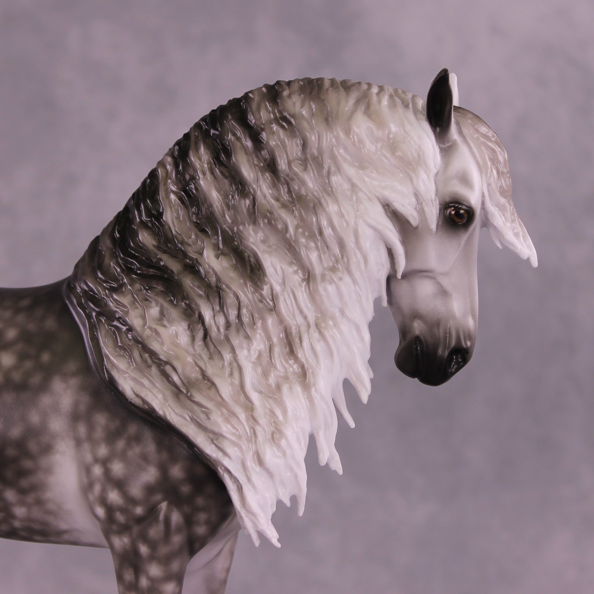 Arthur OOAK FCM Andalusian by Sheryl Leisure Best Offer 9/23/2025