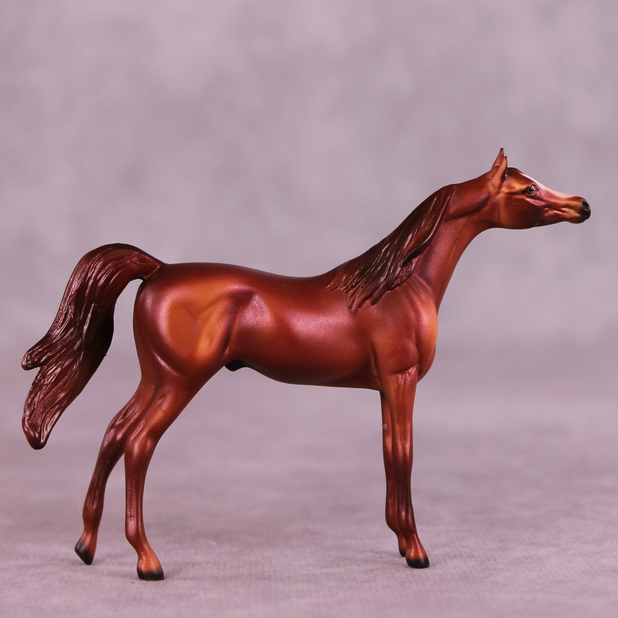 August OOAK Arabian Chip by Dawn Quick LHS25