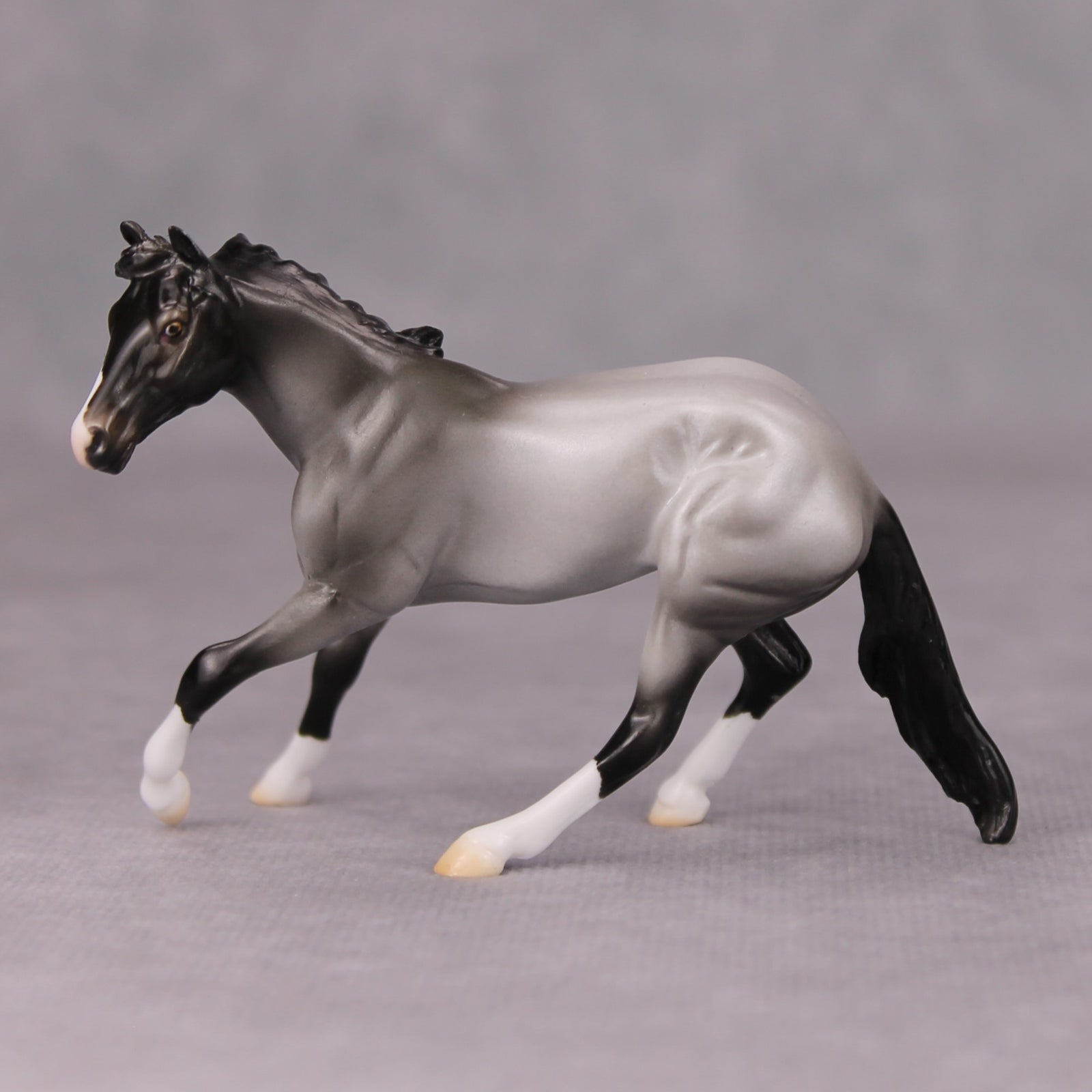 Mirrors On The Ceiling OOAK Blue Roan Cutter Chip By Ellen Robbins MM24