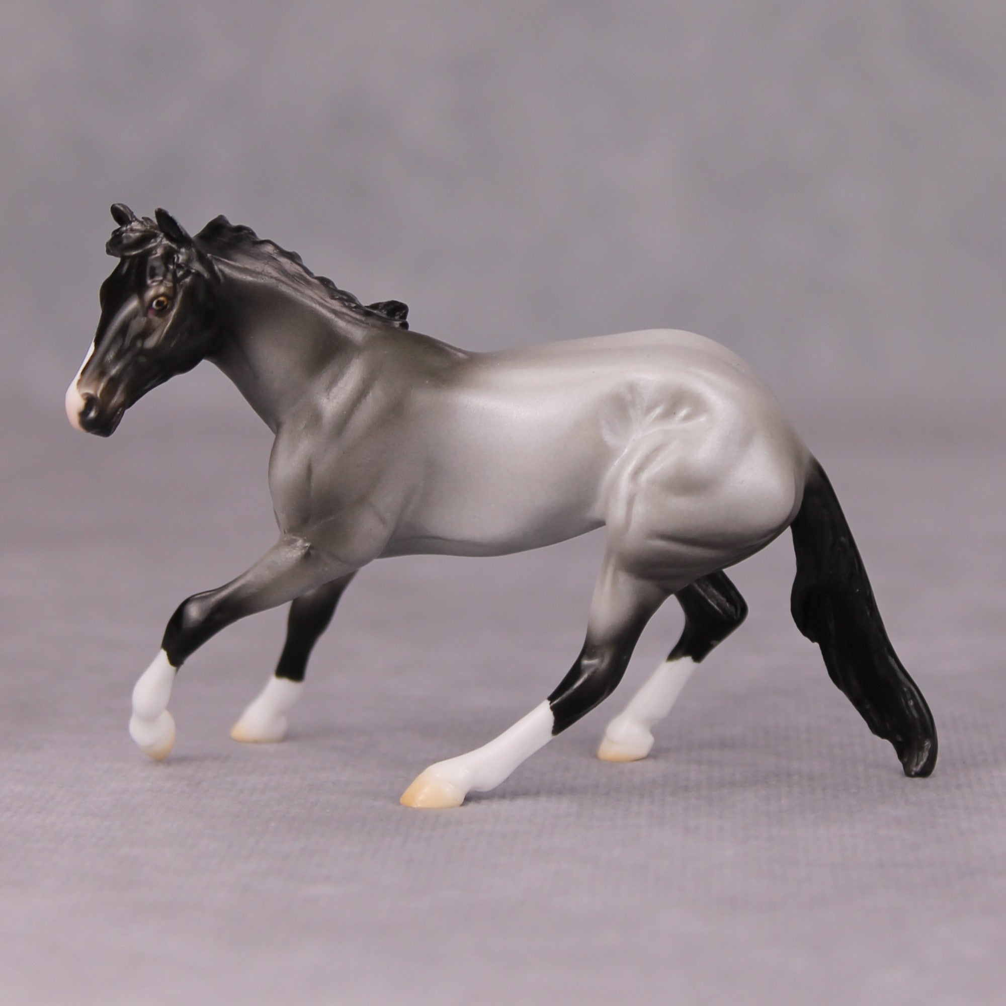 Mirrors On The Ceiling OOAK Blue Roan Cutter Chip By Ellen Robbins MM24