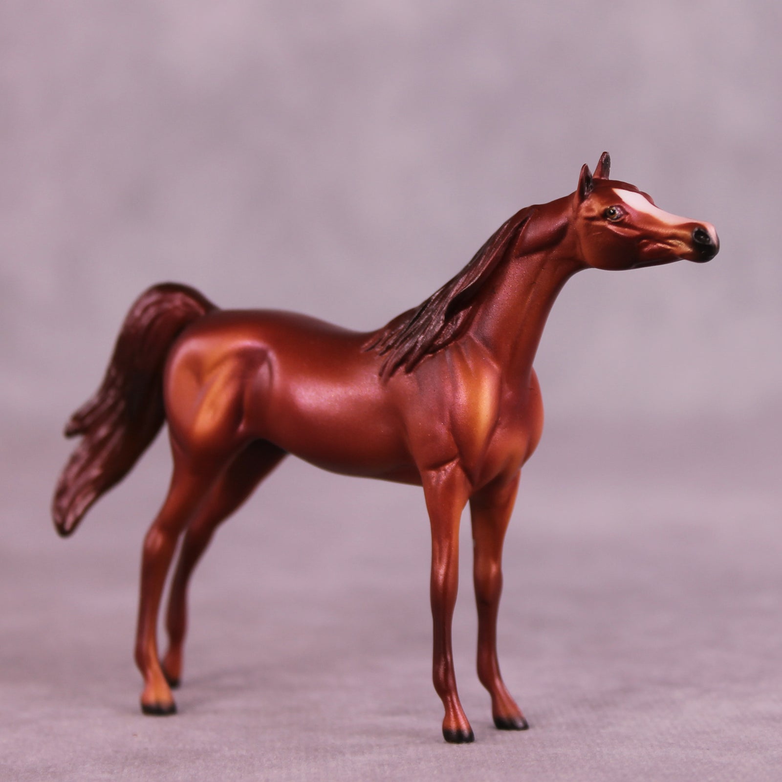 August OOAK Arabian Chip by Dawn Quick LHS25