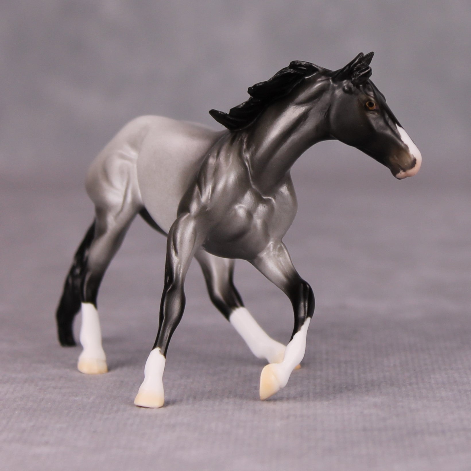 Mirrors On The Ceiling OOAK Blue Roan Cutter Chip By Ellen Robbins MM24