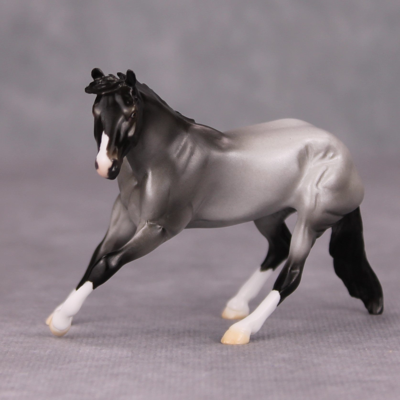 Mirrors On The Ceiling OOAK Blue Roan Cutter Chip By Ellen Robbins MM24