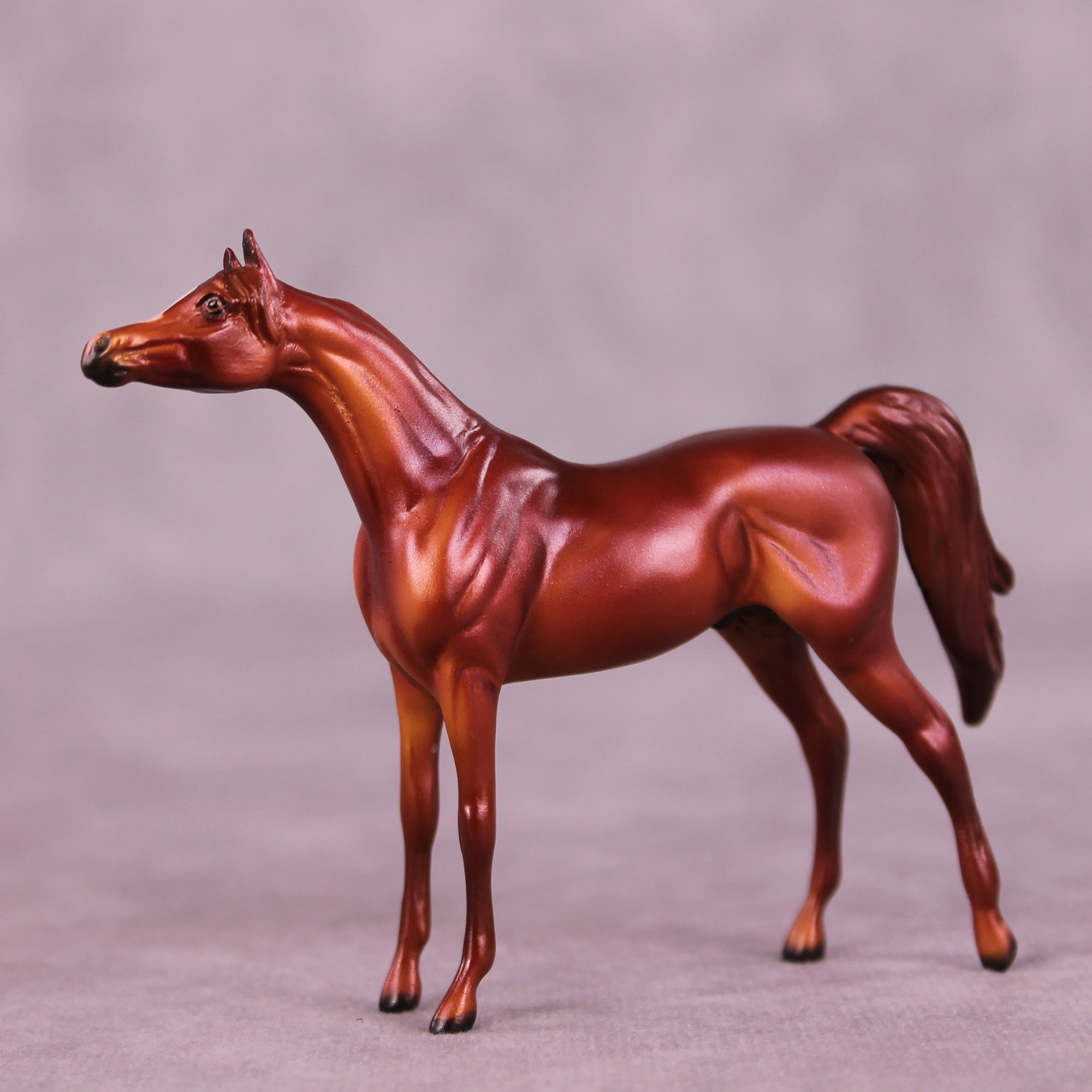 August OOAK Arabian Chip by Dawn Quick LHS25