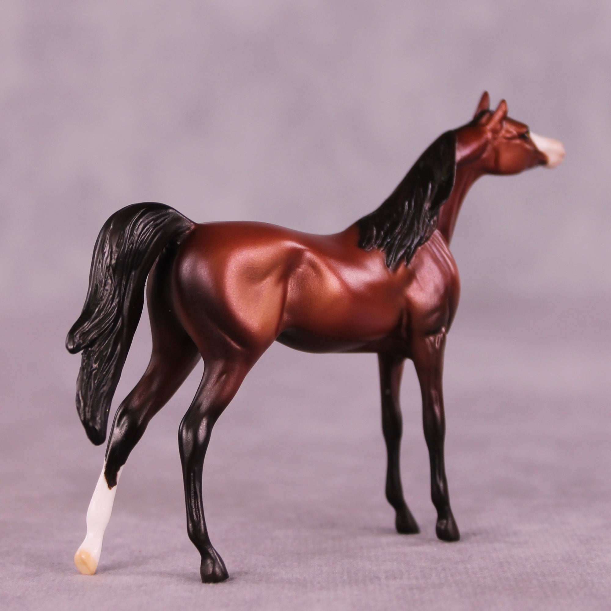 Hansberry OOAK Arabian Chip by Dawn Quick LHS25