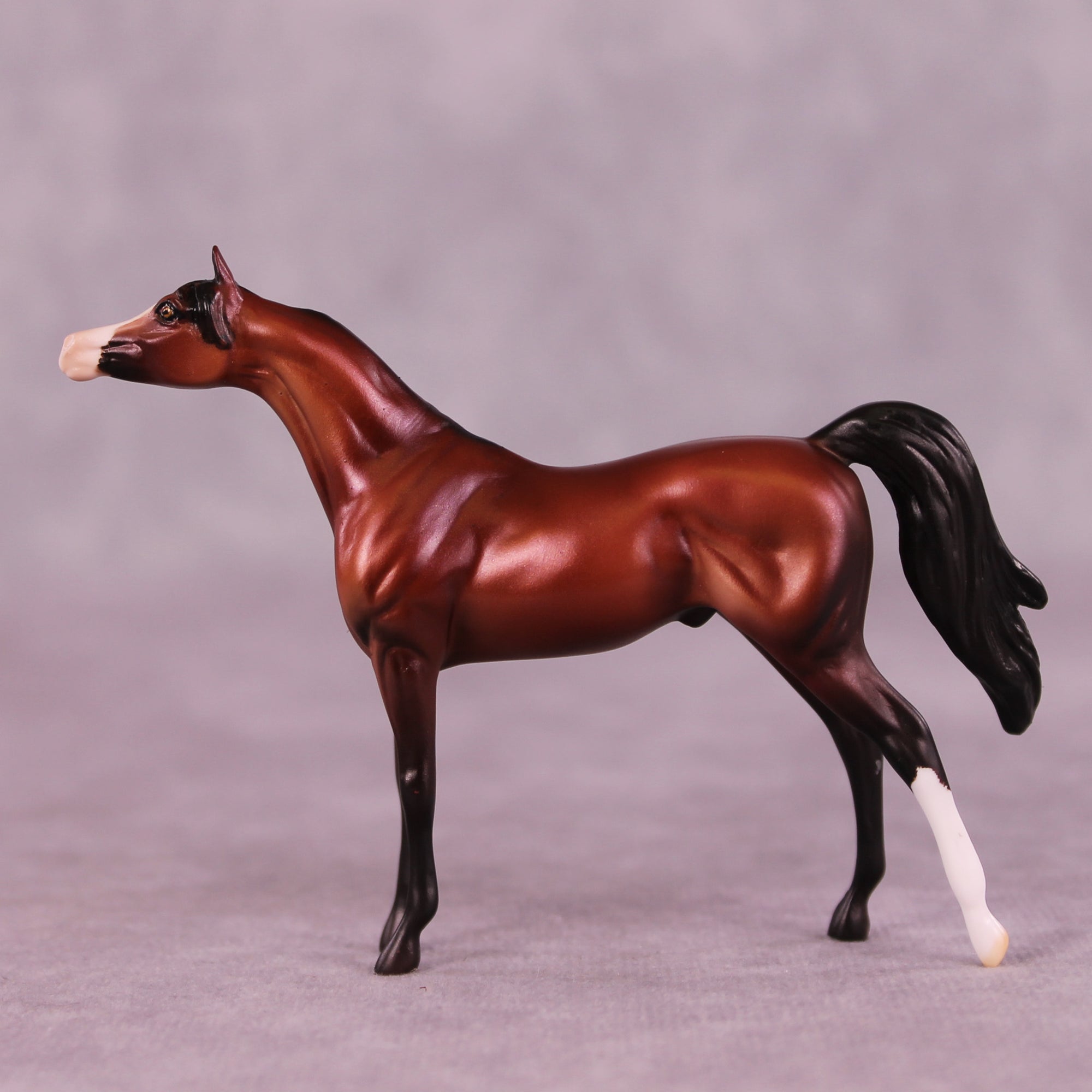 Hansberry OOAK Arabian Chip by Dawn Quick LHS25