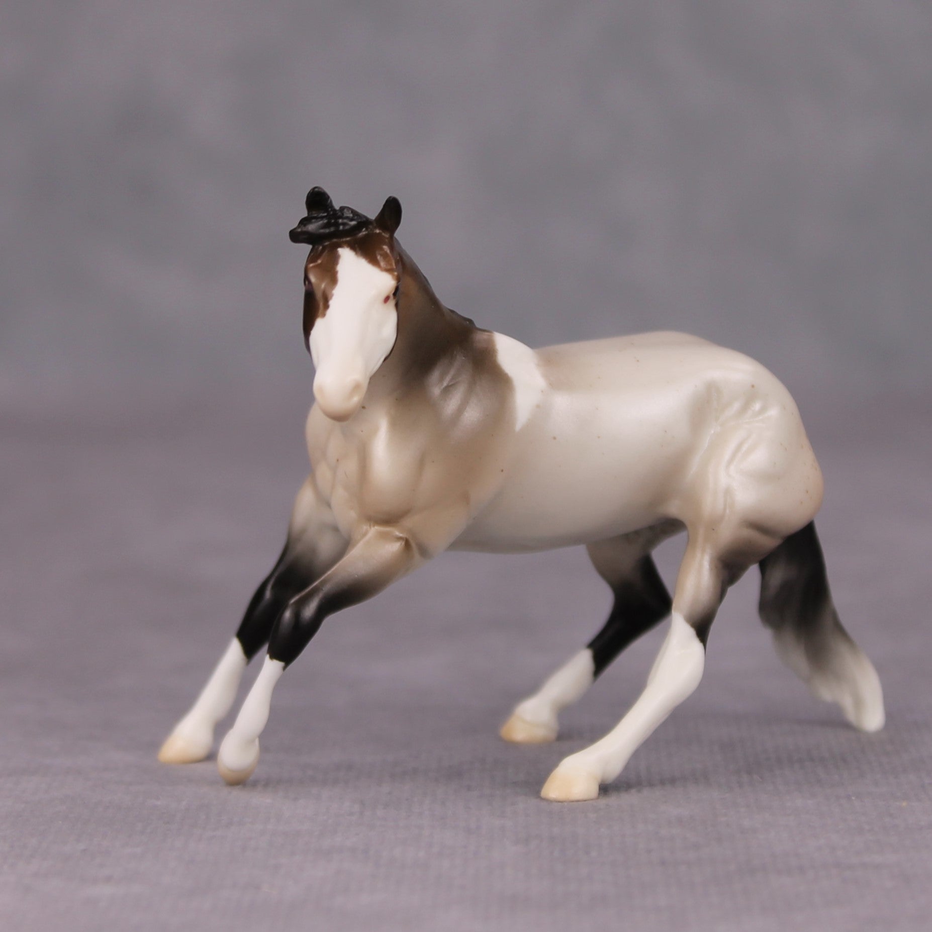 Dance to Forget OOAK Bay Roan Tobiano Cutter Chip By Ellen Robbins MM24