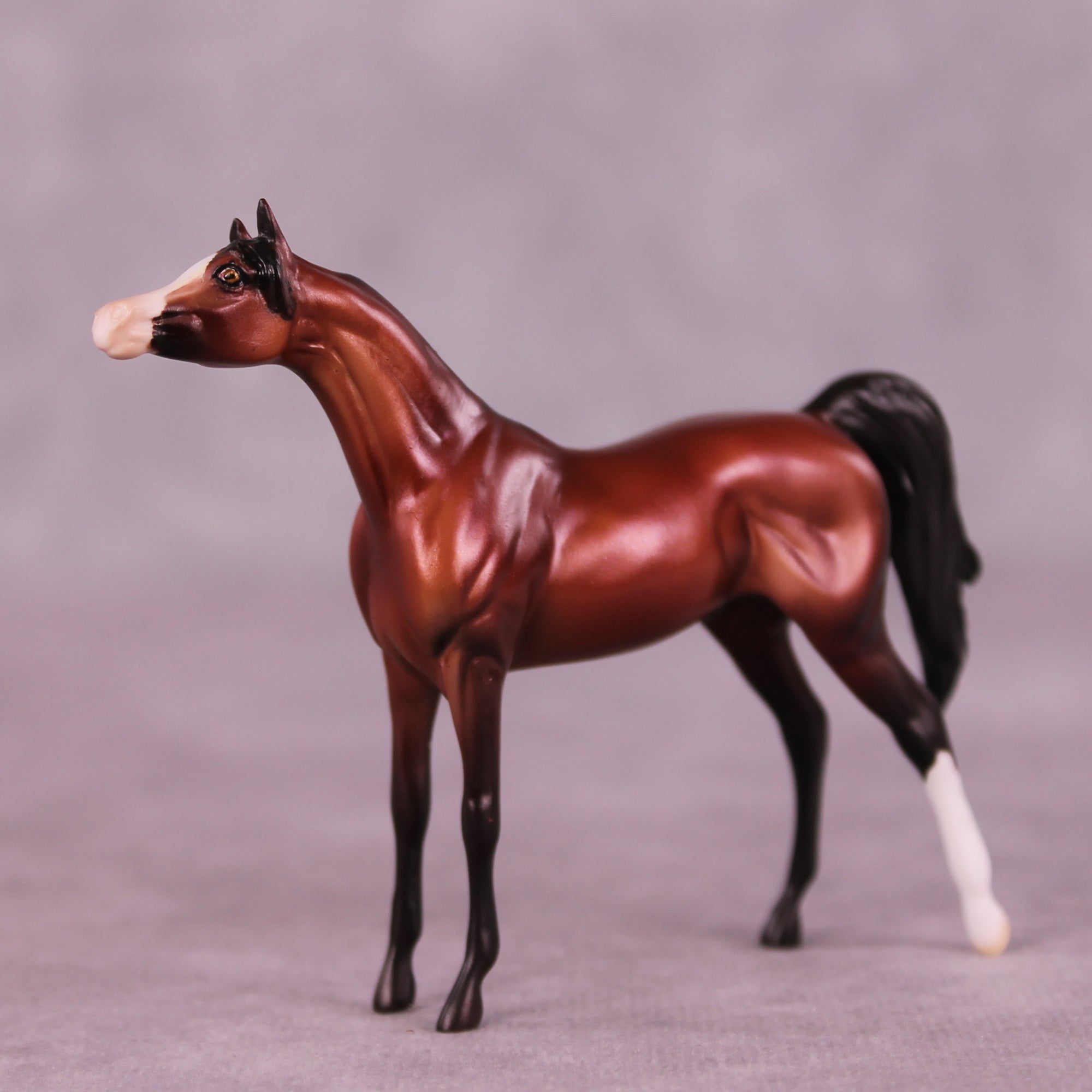 Hansberry OOAK Arabian Chip by Dawn Quick LHS25