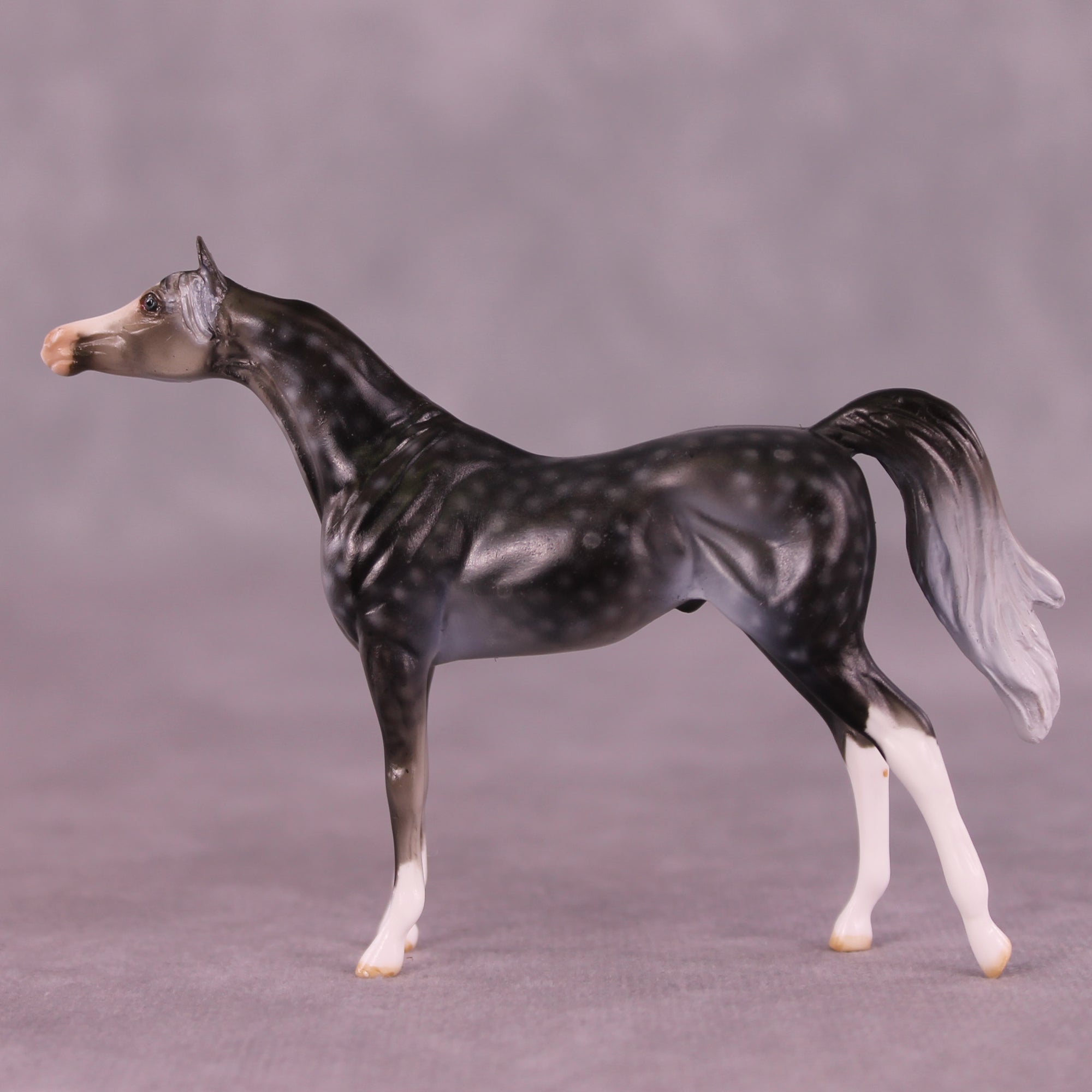 Steinbeck OOAK Arabian Chip by Dawn Quick LHS25