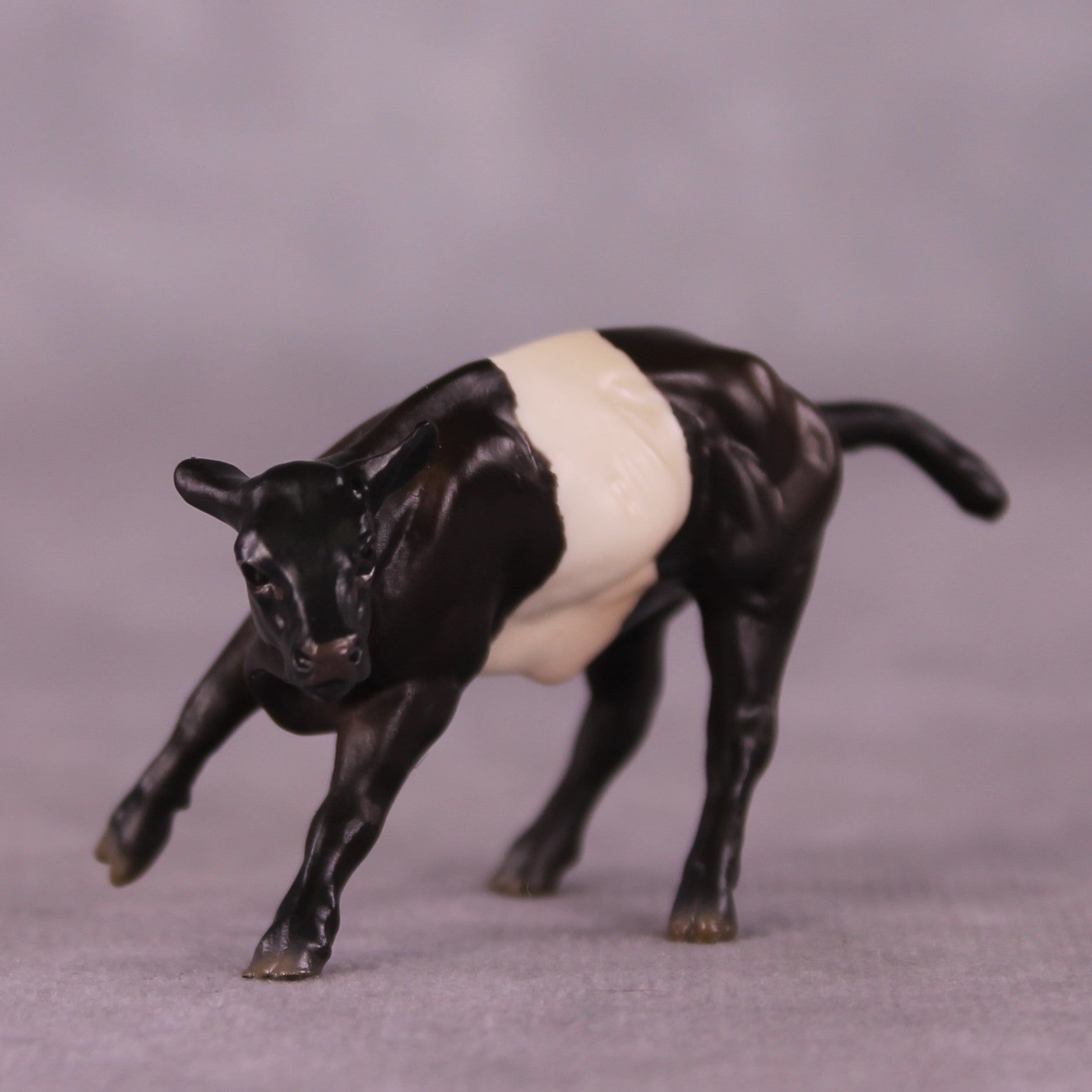 "Dairy Kween" OOAK Calf Chip By Jess Hamill - Menagerie Series