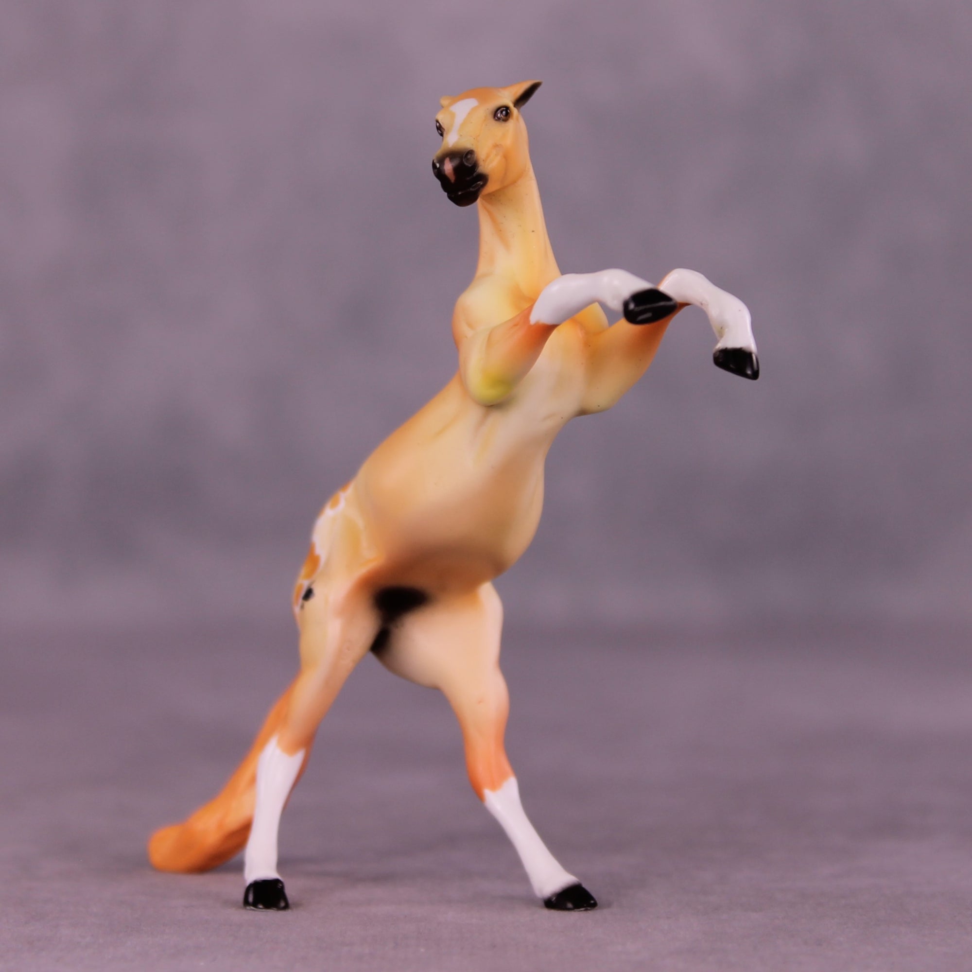Xanthos or Cupcake LE-24 FCM Chip Rearing Horse By Julie Keim or Dawn Quick FS25