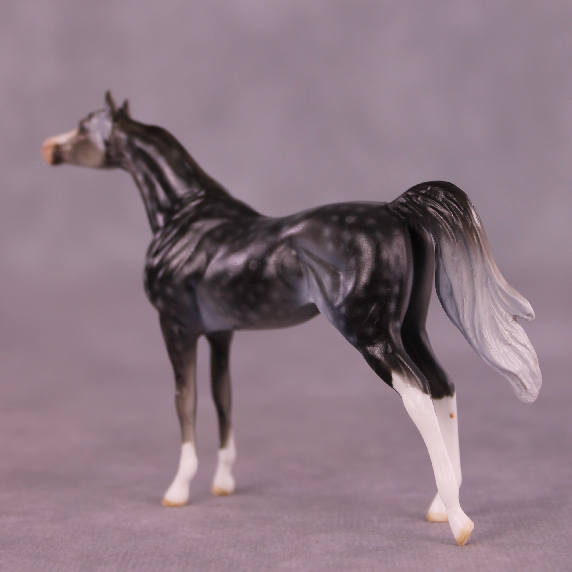Steinbeck OOAK Arabian Chip by Dawn Quick LHS25