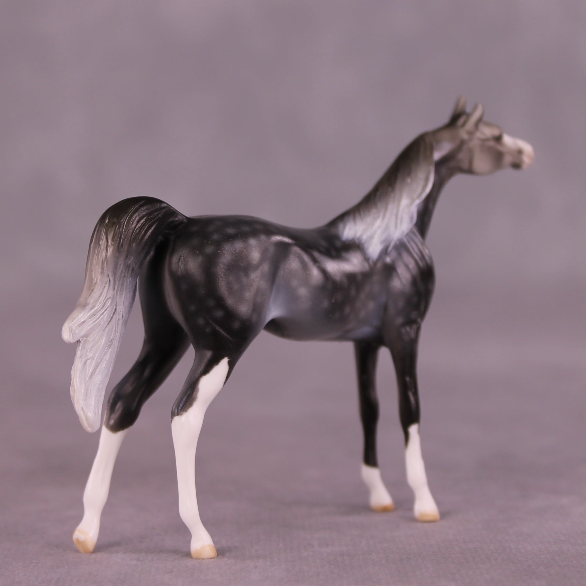 Steinbeck OOAK Arabian Chip by Dawn Quick LHS25