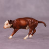 &quot;Clairabelle&quot; OOAK Calf Chip By Jess Hamill - Menagerie Series