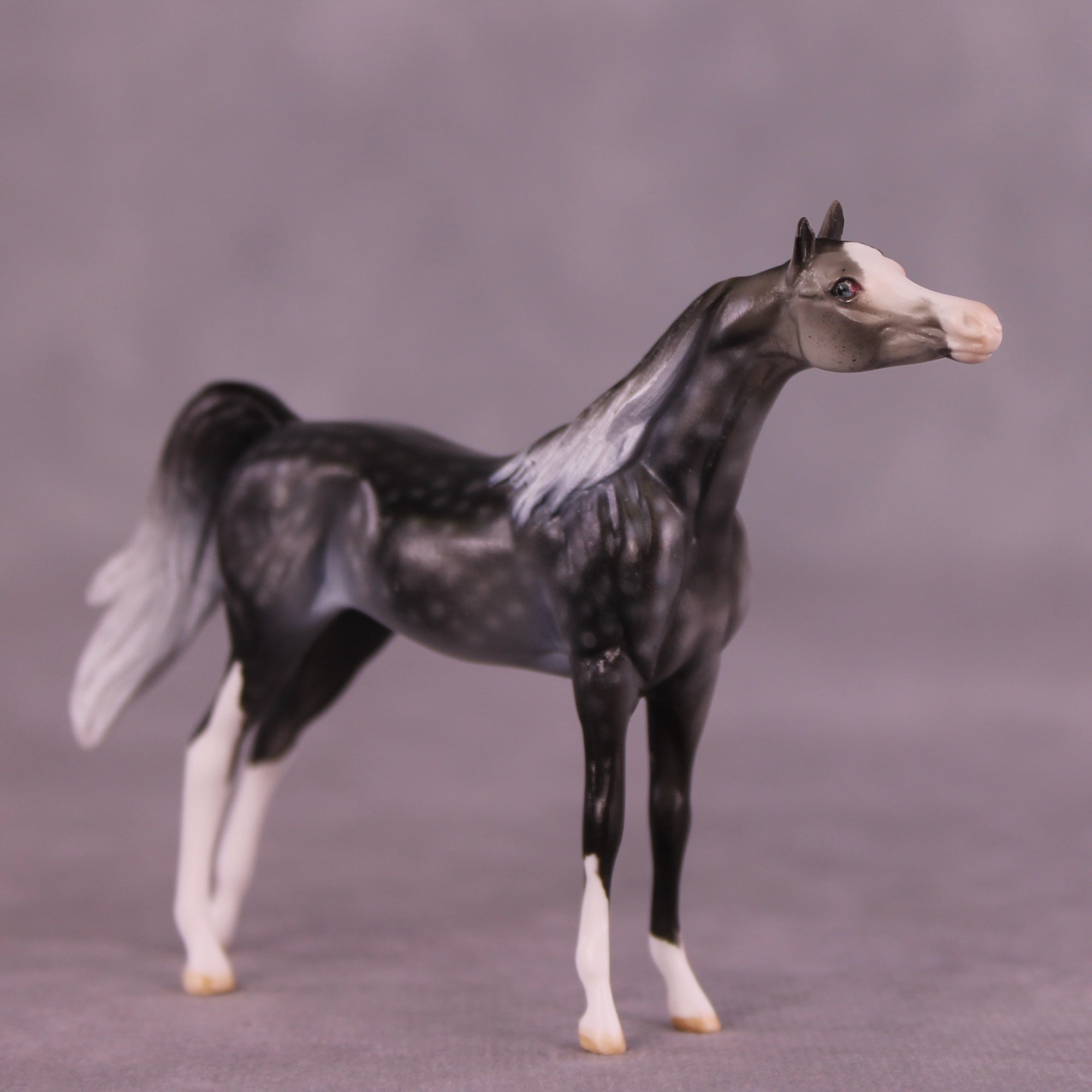 Steinbeck OOAK Arabian Chip by Dawn Quick LHS25