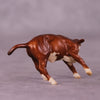 &quot;Clairabelle&quot; OOAK Calf Chip By Jess Hamill - Menagerie Series