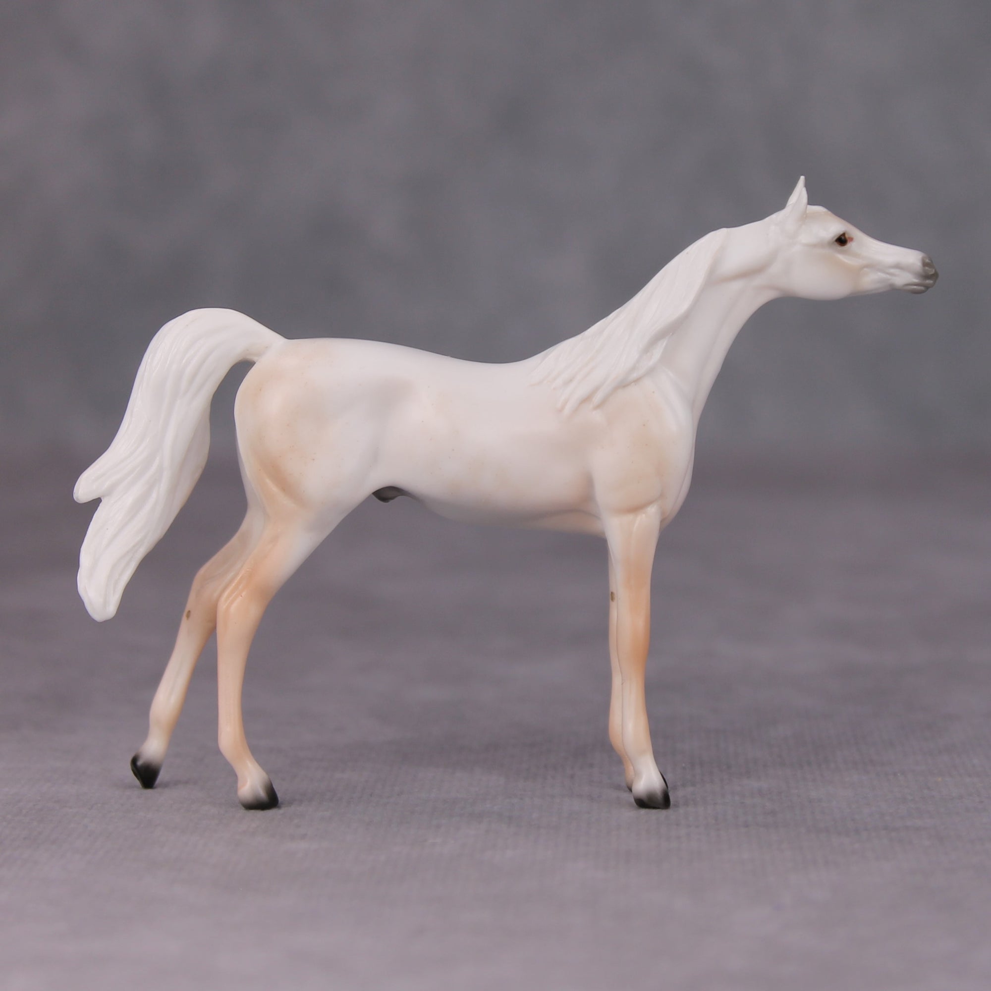 Mike OOAK Fleabittern Grey Arabian Chip By Ellen Robbins MM24