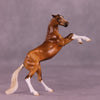 Xanthos or Cupcake LE-24 FCM Chip Rearing Horse By Julie Keim or Dawn Quick FS25