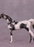 Beckett OOAK Arabian Chip by Dawn Quick LHS25