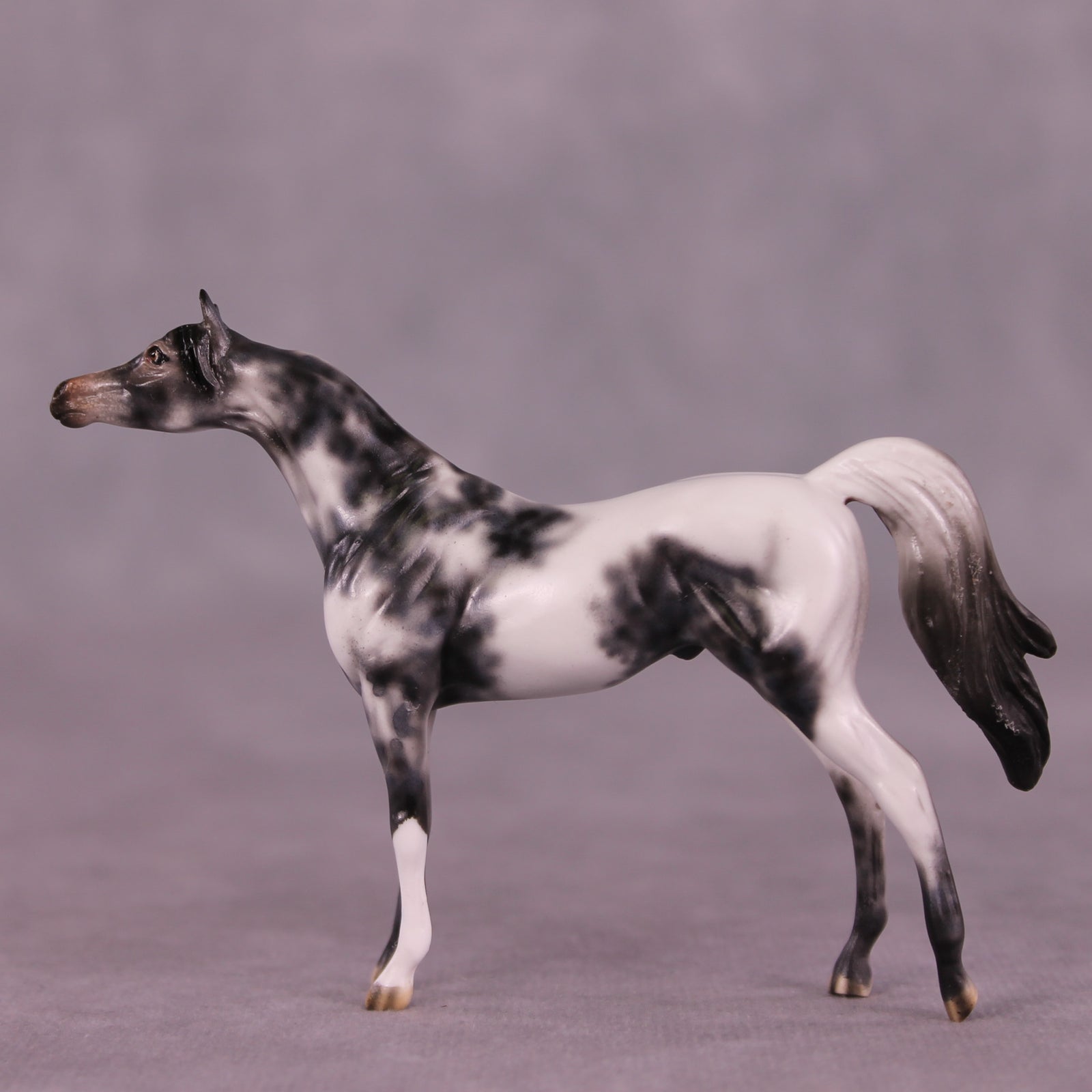 Beckett OOAK Arabian Chip by Dawn Quick LHS25