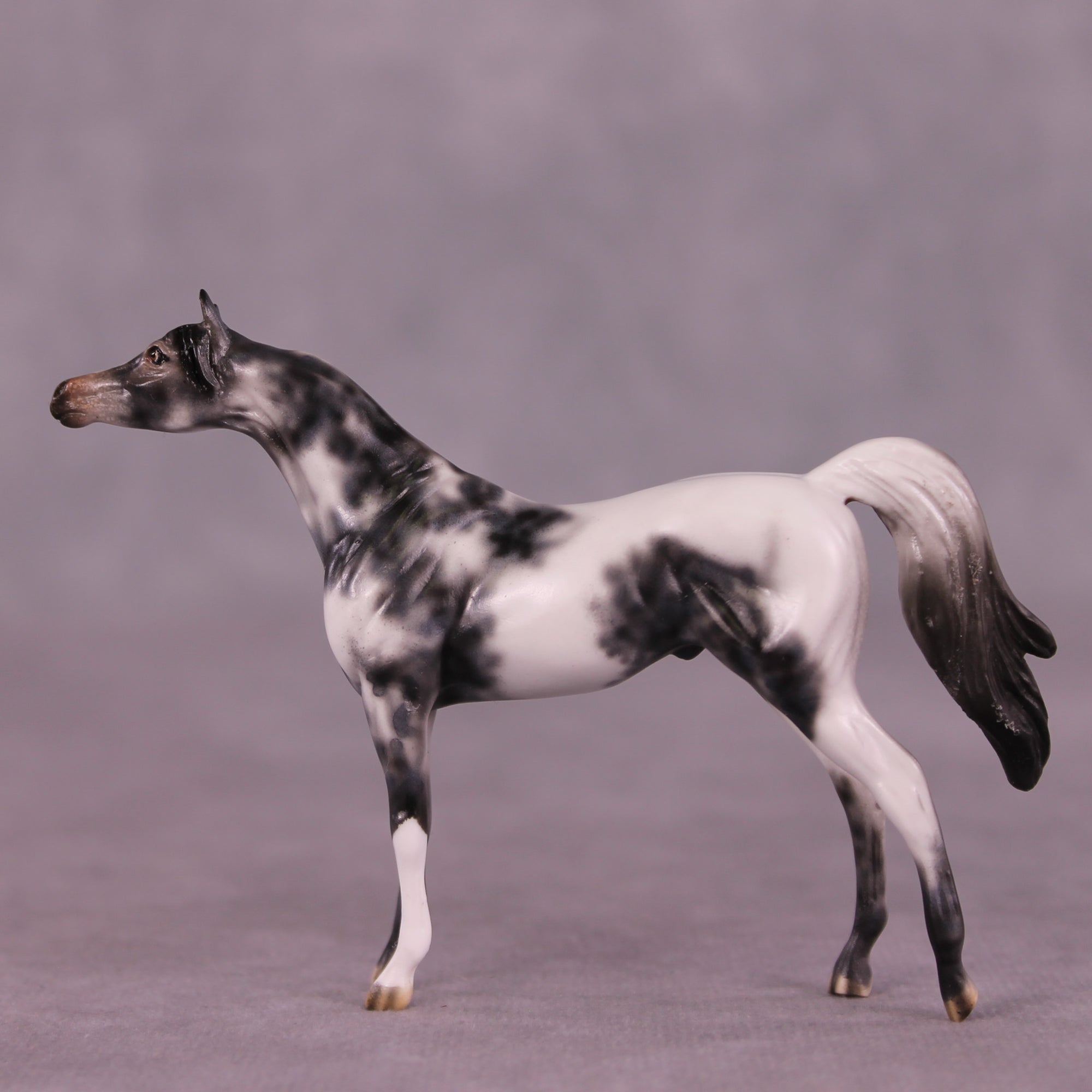 Beckett OOAK Arabian Chip by Dawn Quick LHS25
