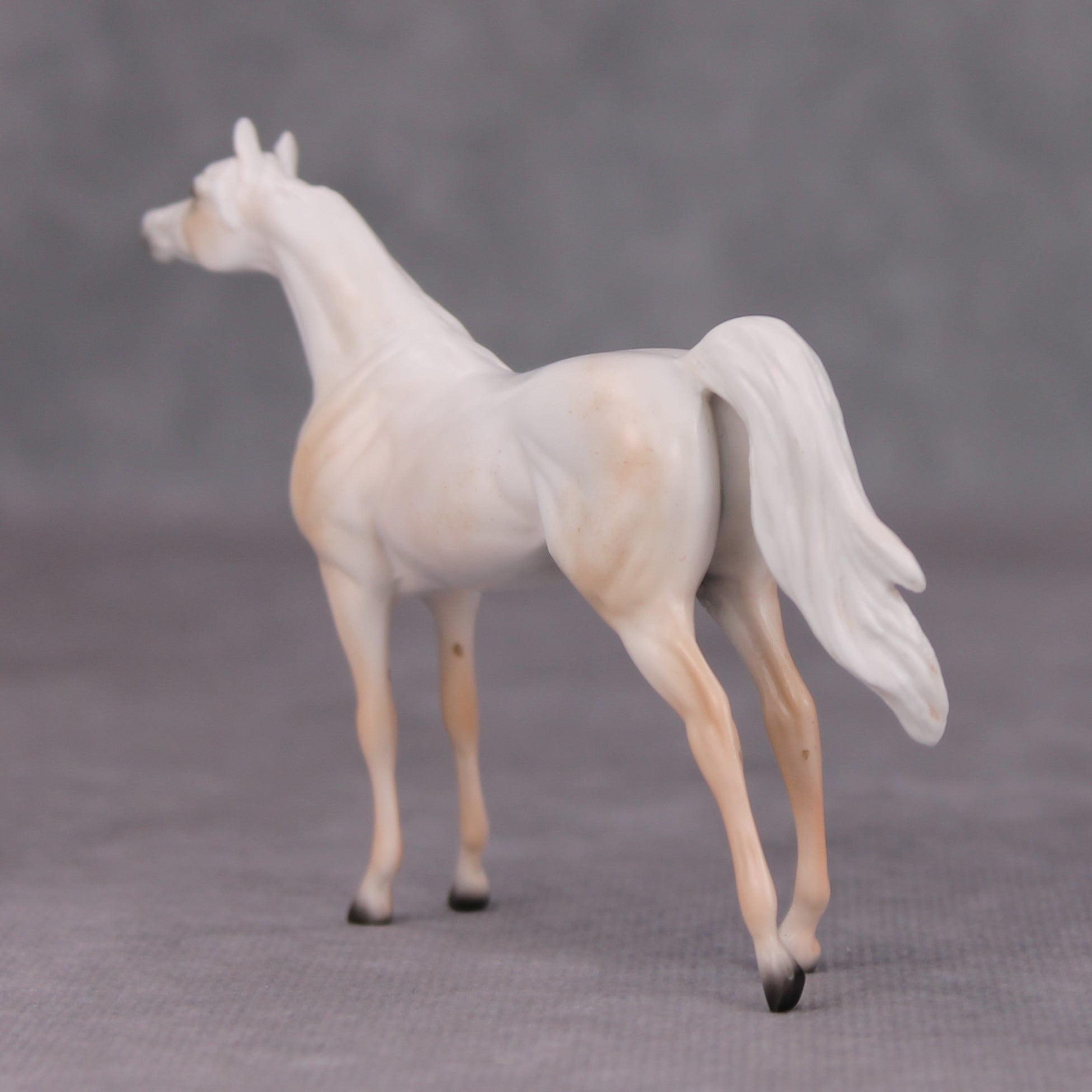 Mike OOAK Fleabittern Grey Arabian Chip By Ellen Robbins MM24
