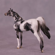 Beckett OOAK Arabian Chip by Dawn Quick LHS25