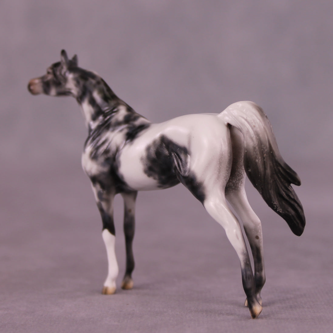 Beckett OOAK Arabian Chip by Dawn Quick LHS25